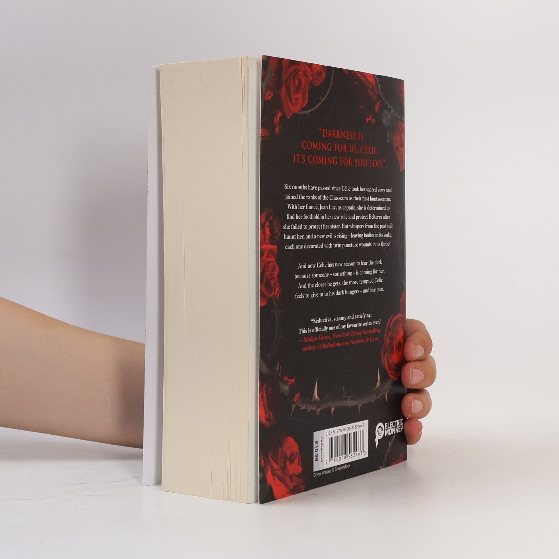 Shelby Mahurin The scarlet veil