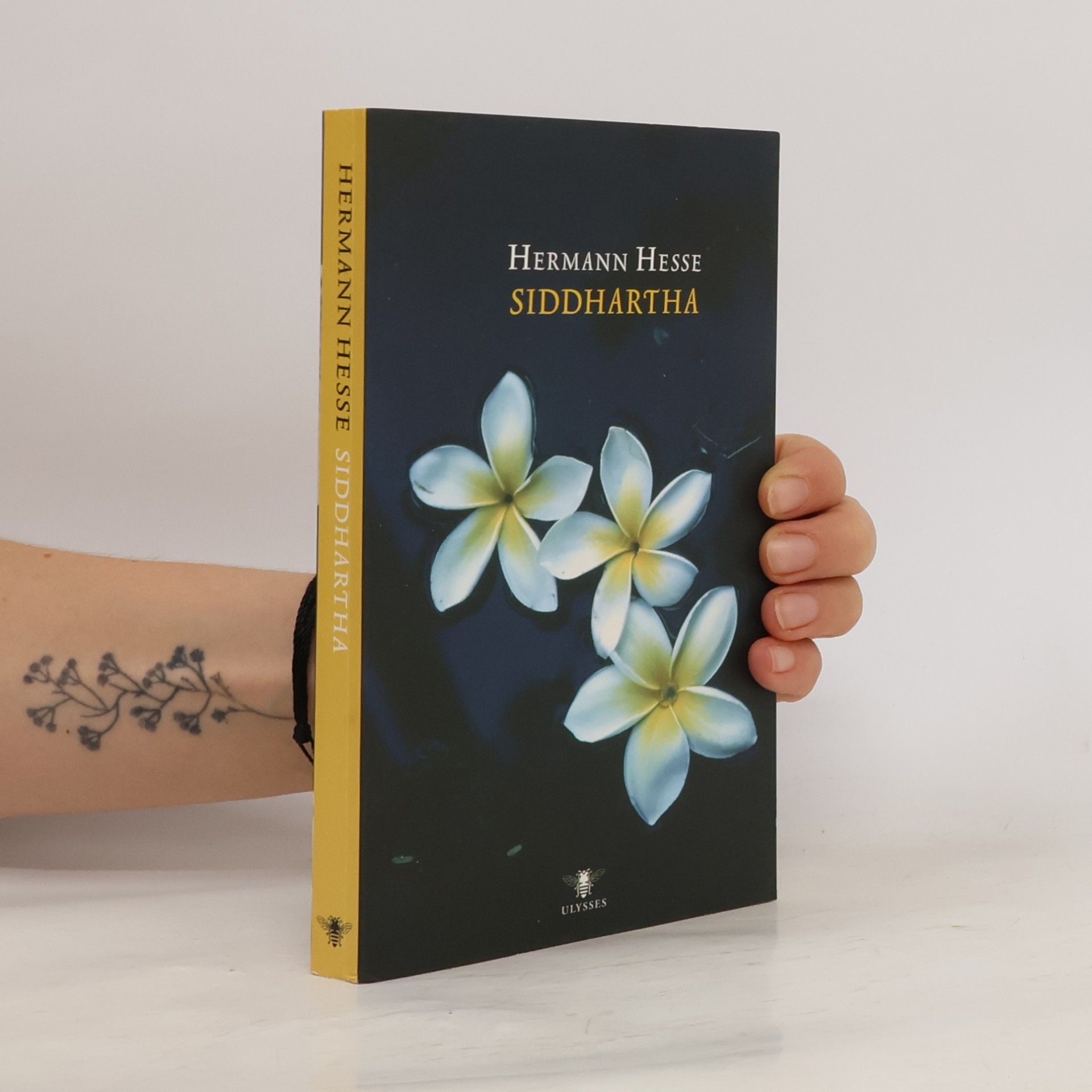Hermann Hesse Ulysses klassieken: Siddhartha