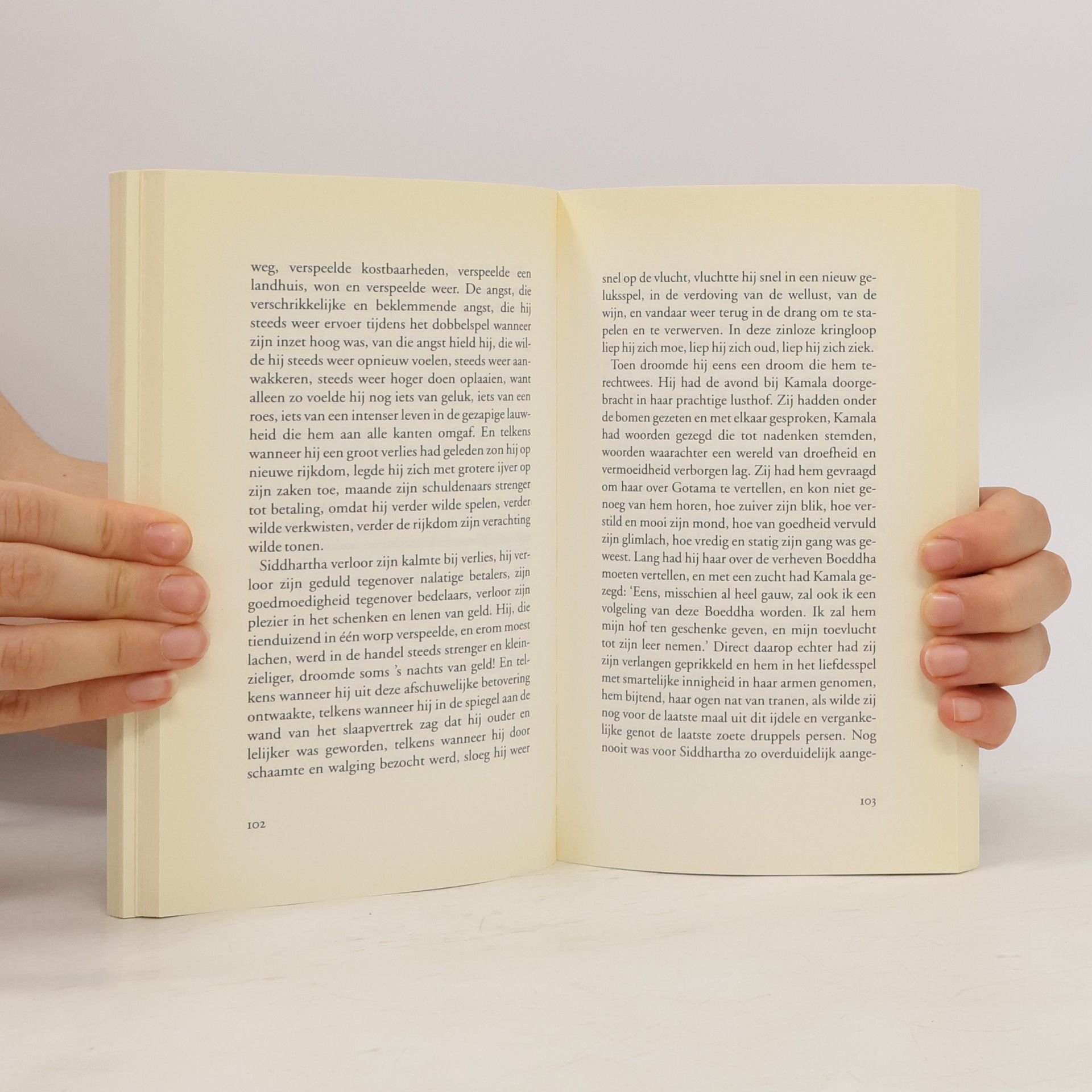 Hermann Hesse Ulysses klassieken: Siddhartha
