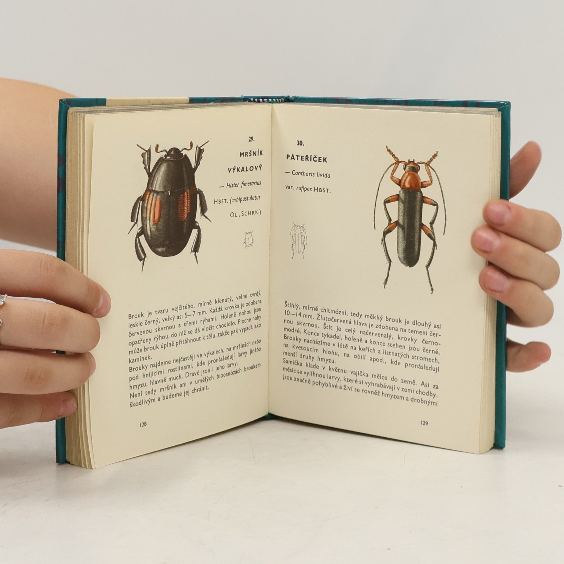Vladimír Javorek Kapesní atlas brouků