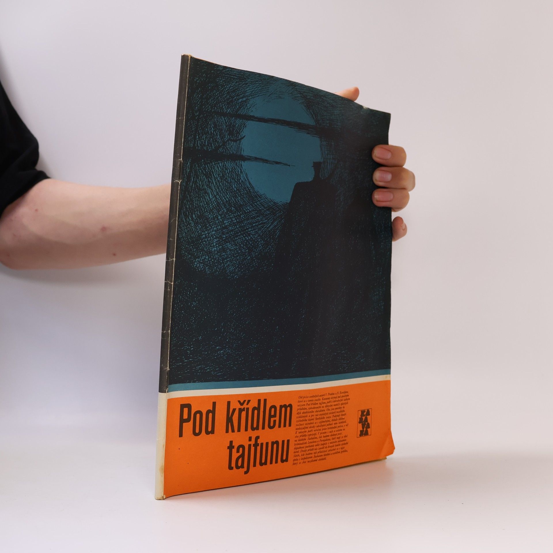 Pod křídlem tajfunu