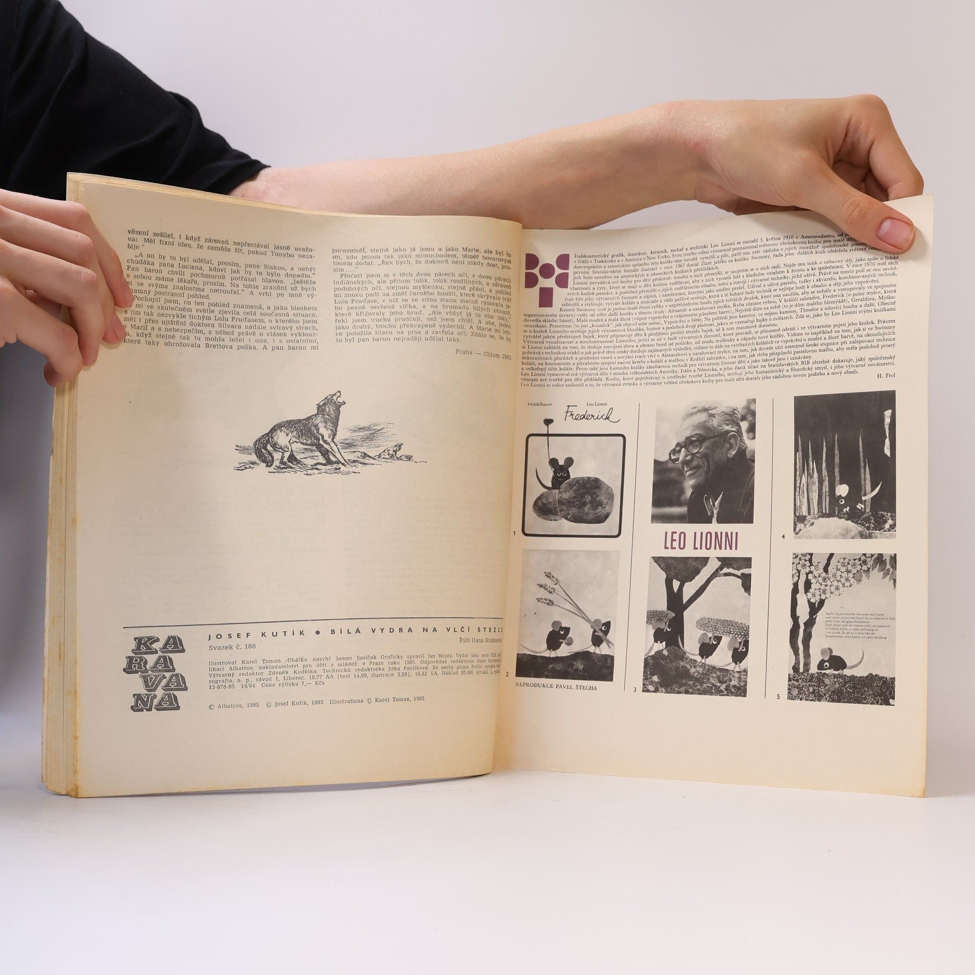 Josef Kutík Karavana č. 186. Bílá vydra na vlčí stezce