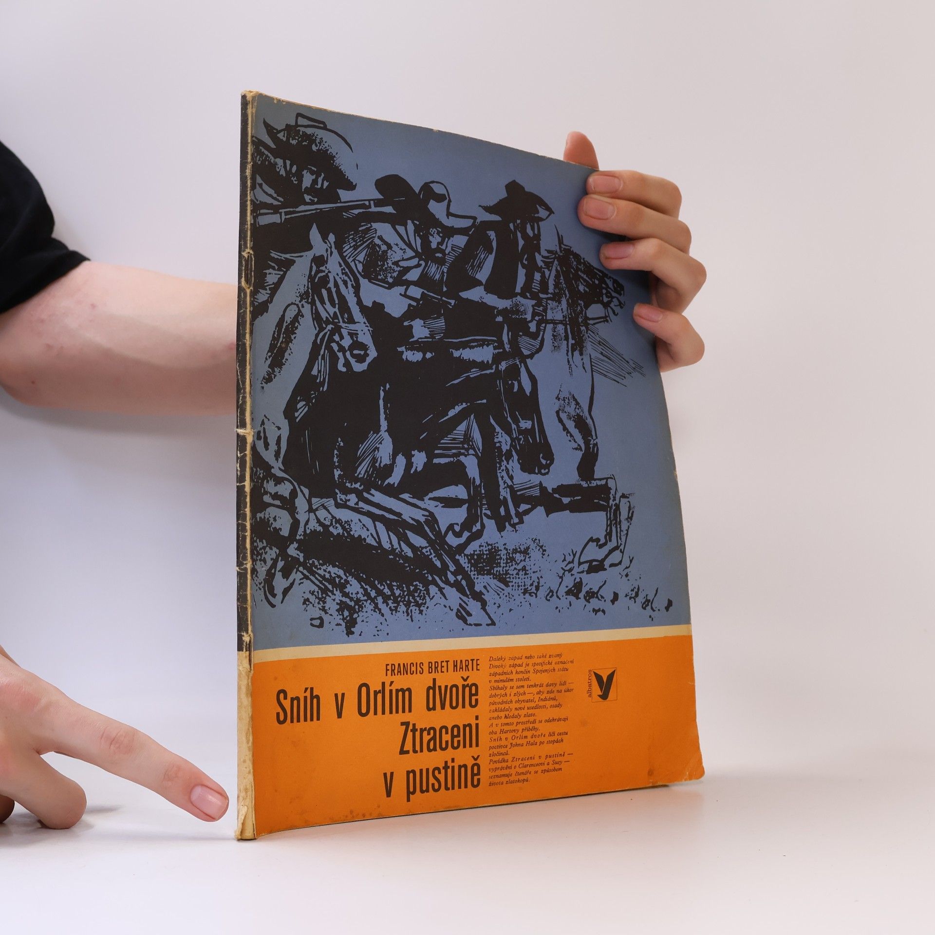 Bret Harte Sníh v Orlím dvoře. Ztraceni v pustině