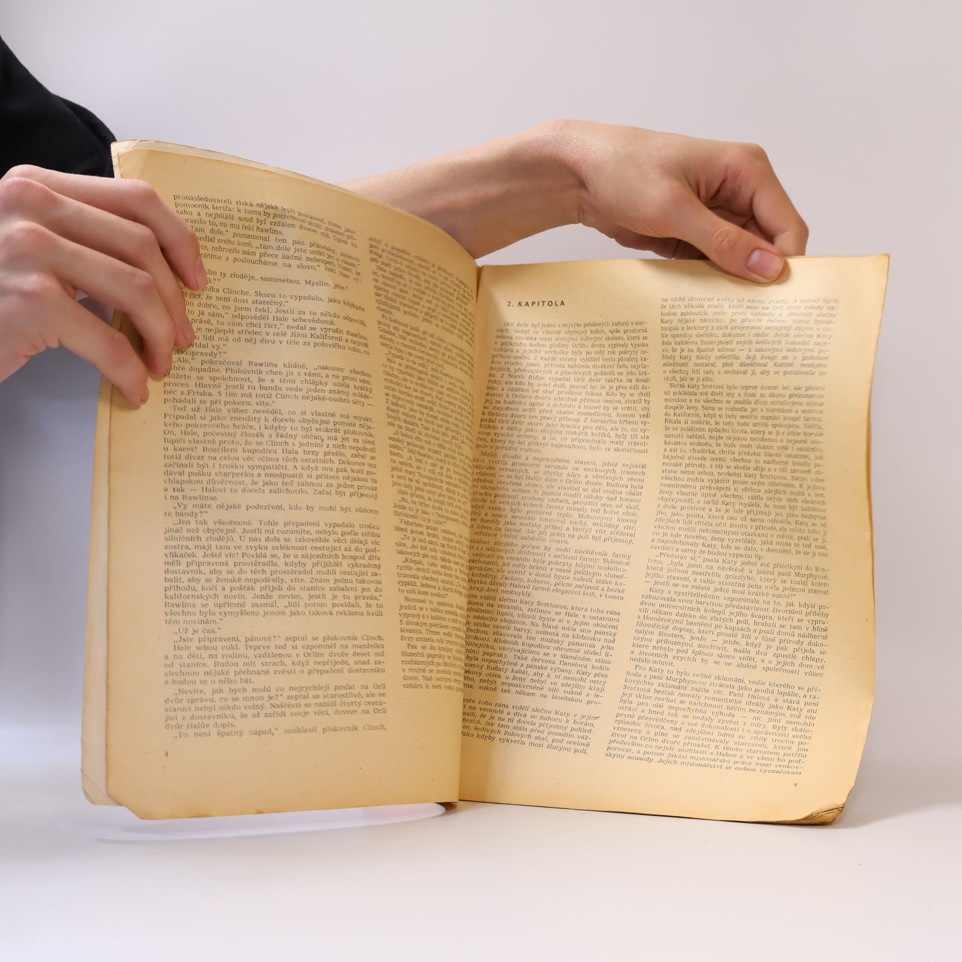Bret Harte Sníh v Orlím dvoře. Ztraceni v pustině