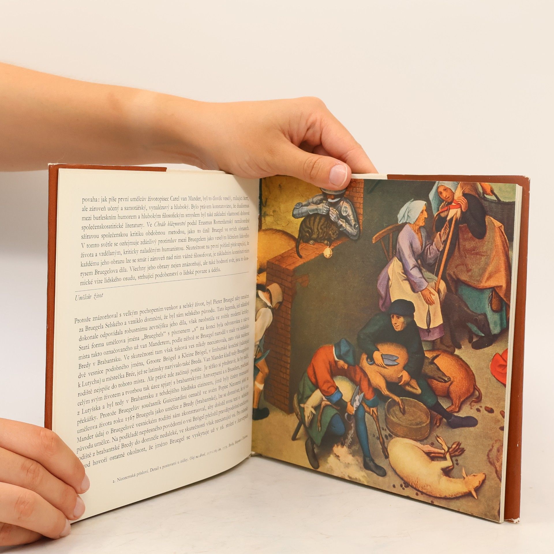 Jaromír Neumann Pieter Bruegel