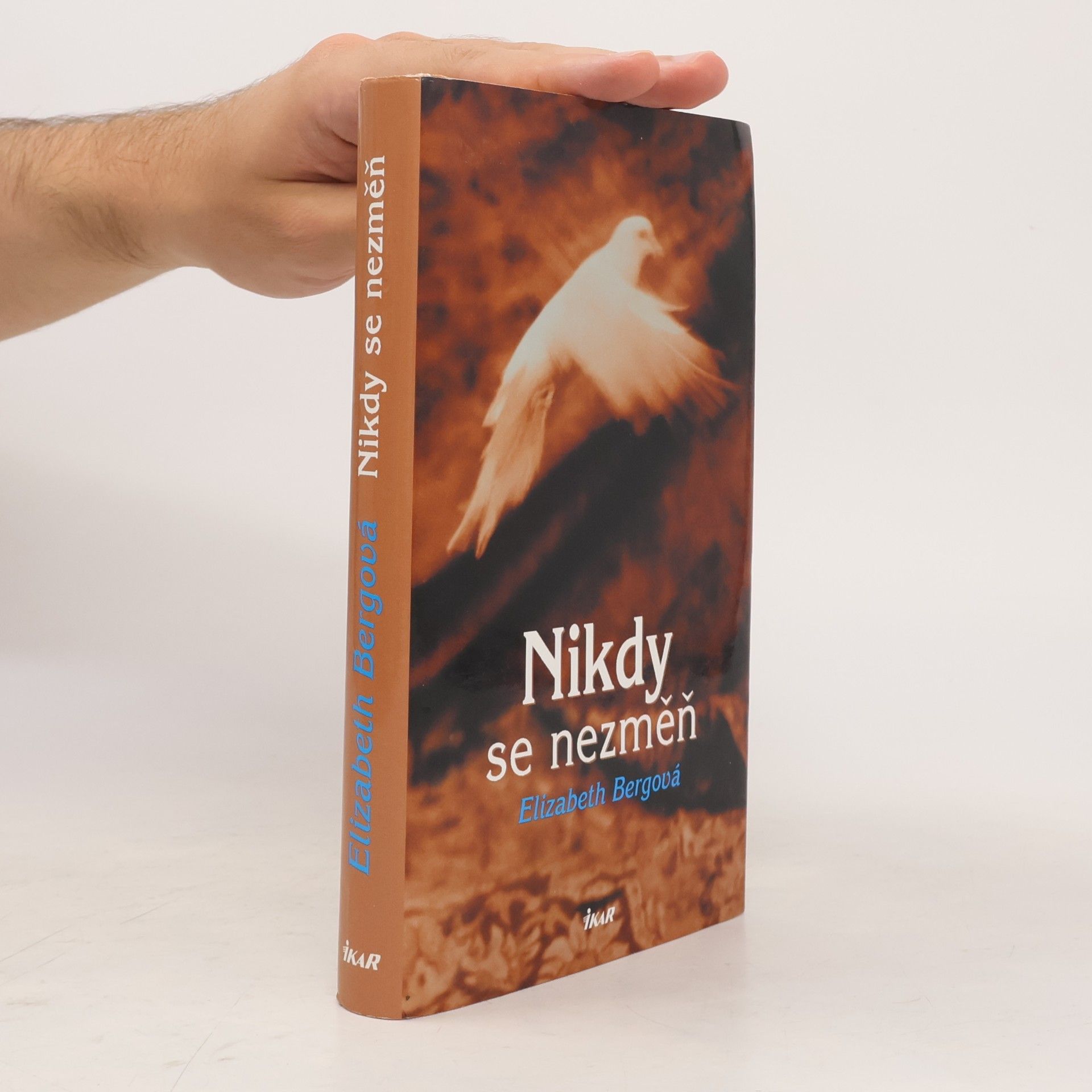 Elizabeth Berg Nikdy se nezměň