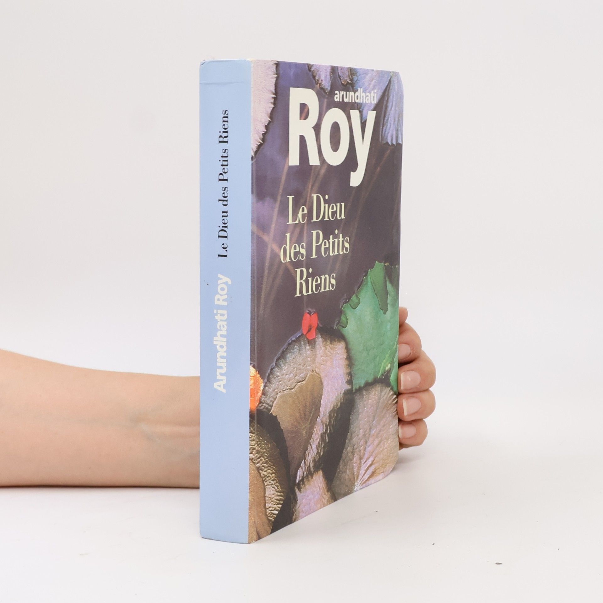 Arundhati Roy Le Dieu des Petits Riens