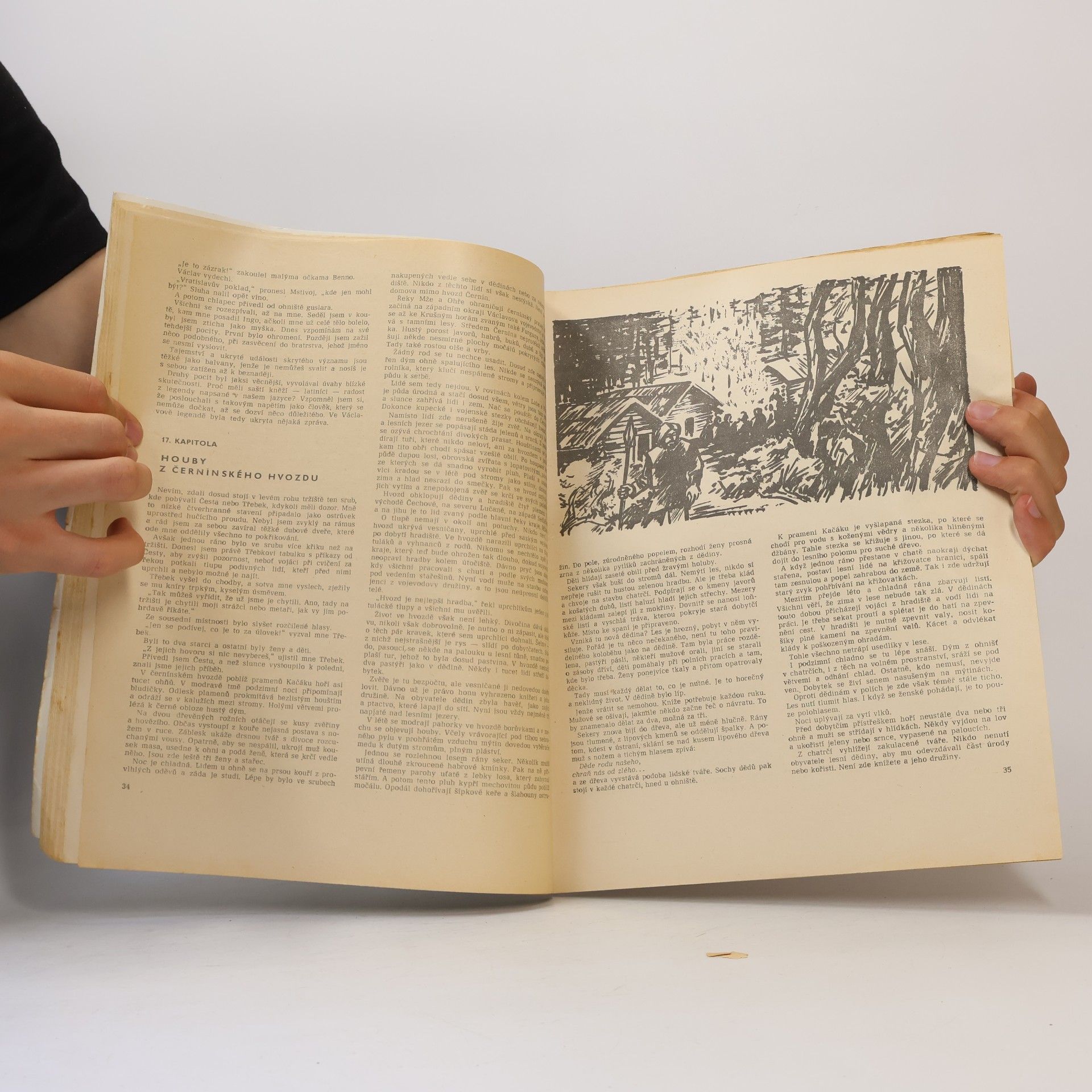 Lukáš Luhan Strážce bílého stáda