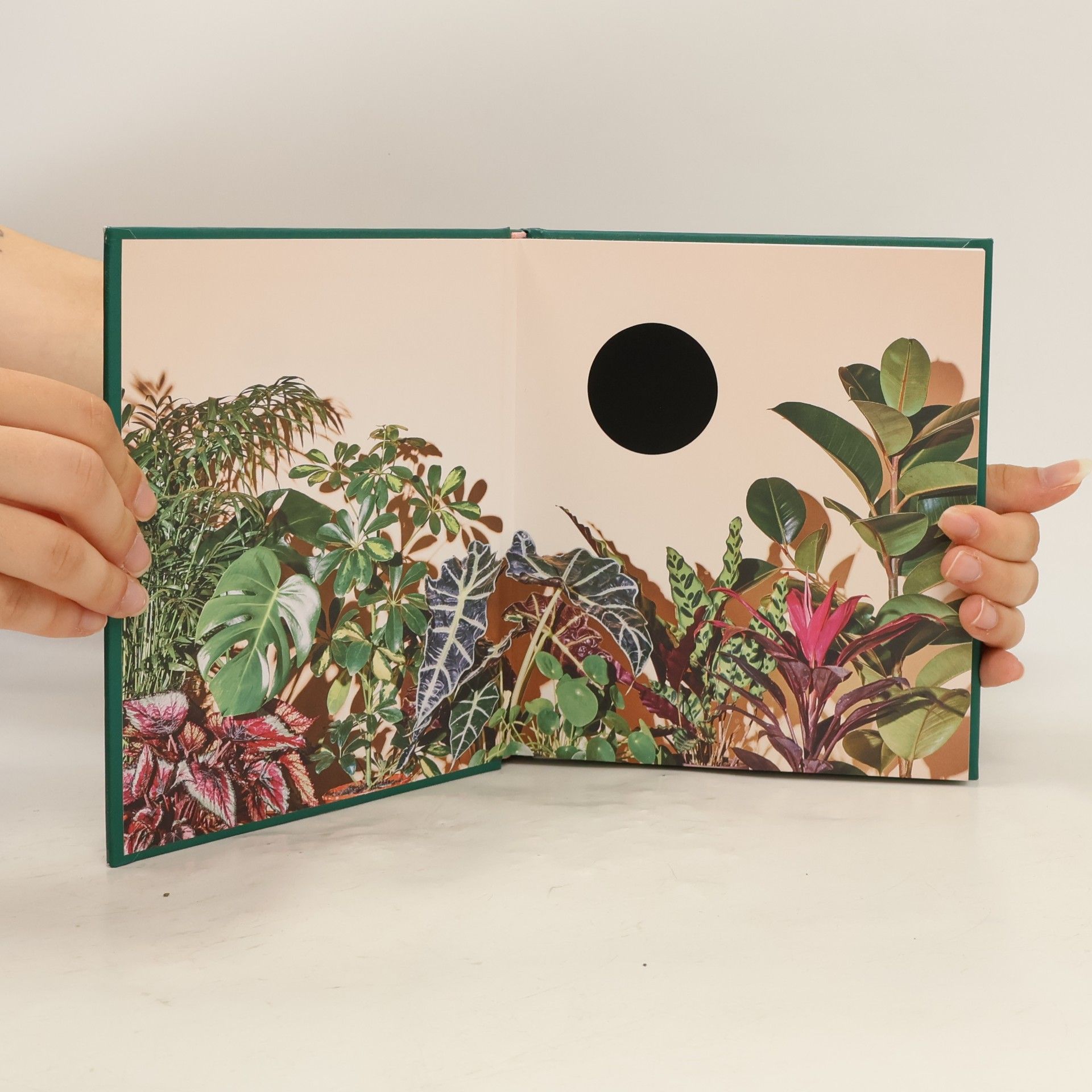 Emma Sibley The Little Book of House Plants and Other Greenery