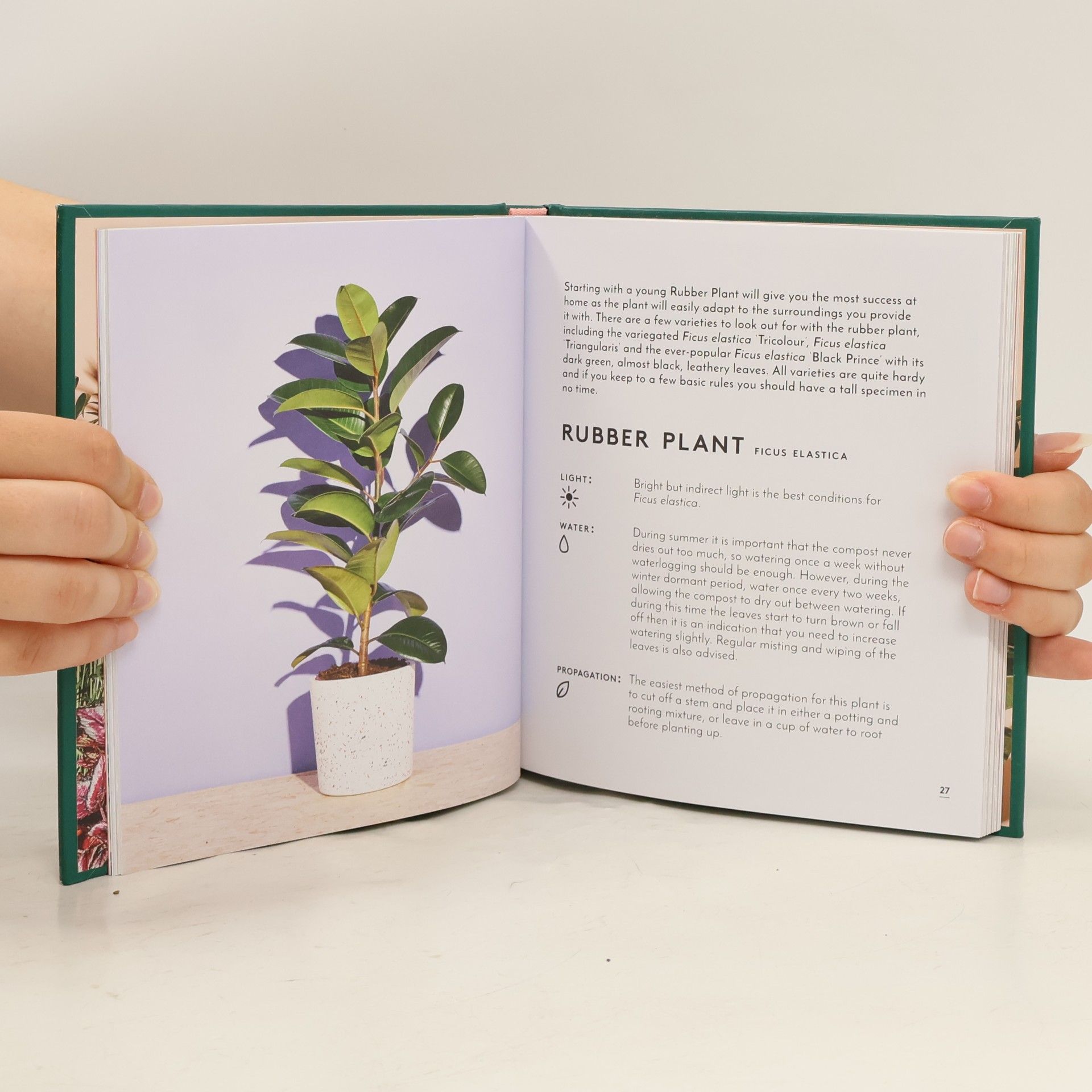 Emma Sibley The Little Book of House Plants and Other Greenery