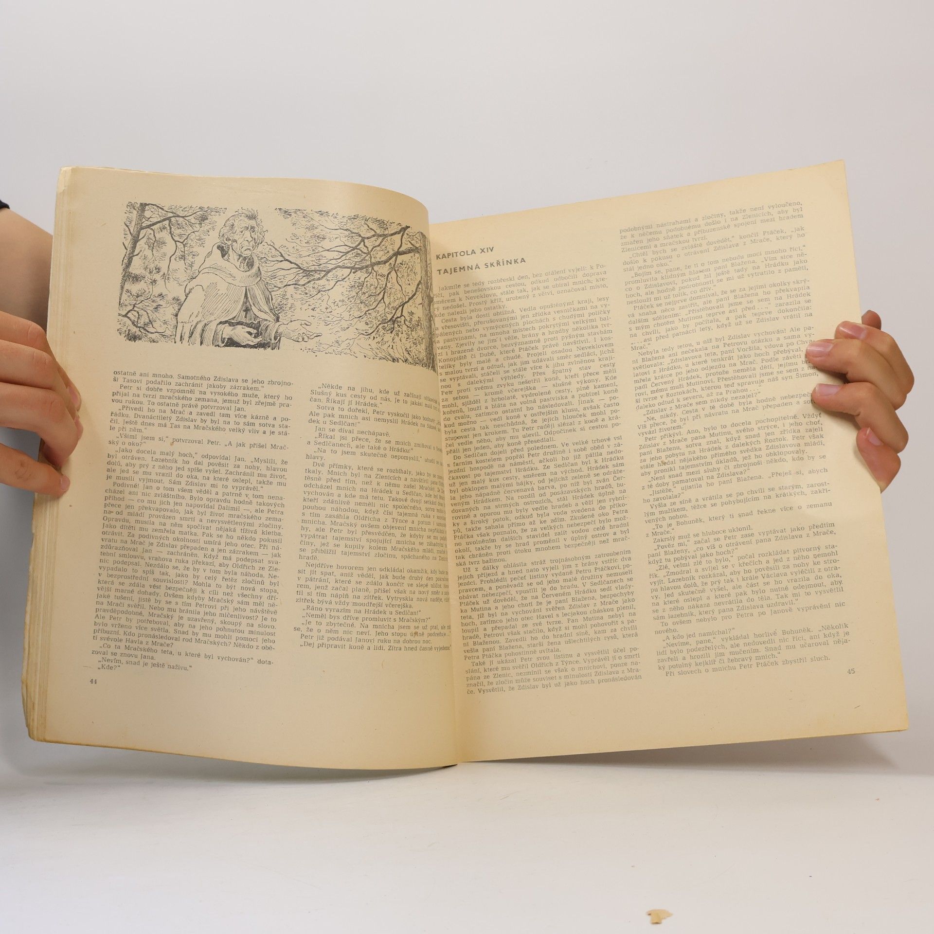 Radovan Šimáček Zločin na Zlenicích hradě L.P. 1318