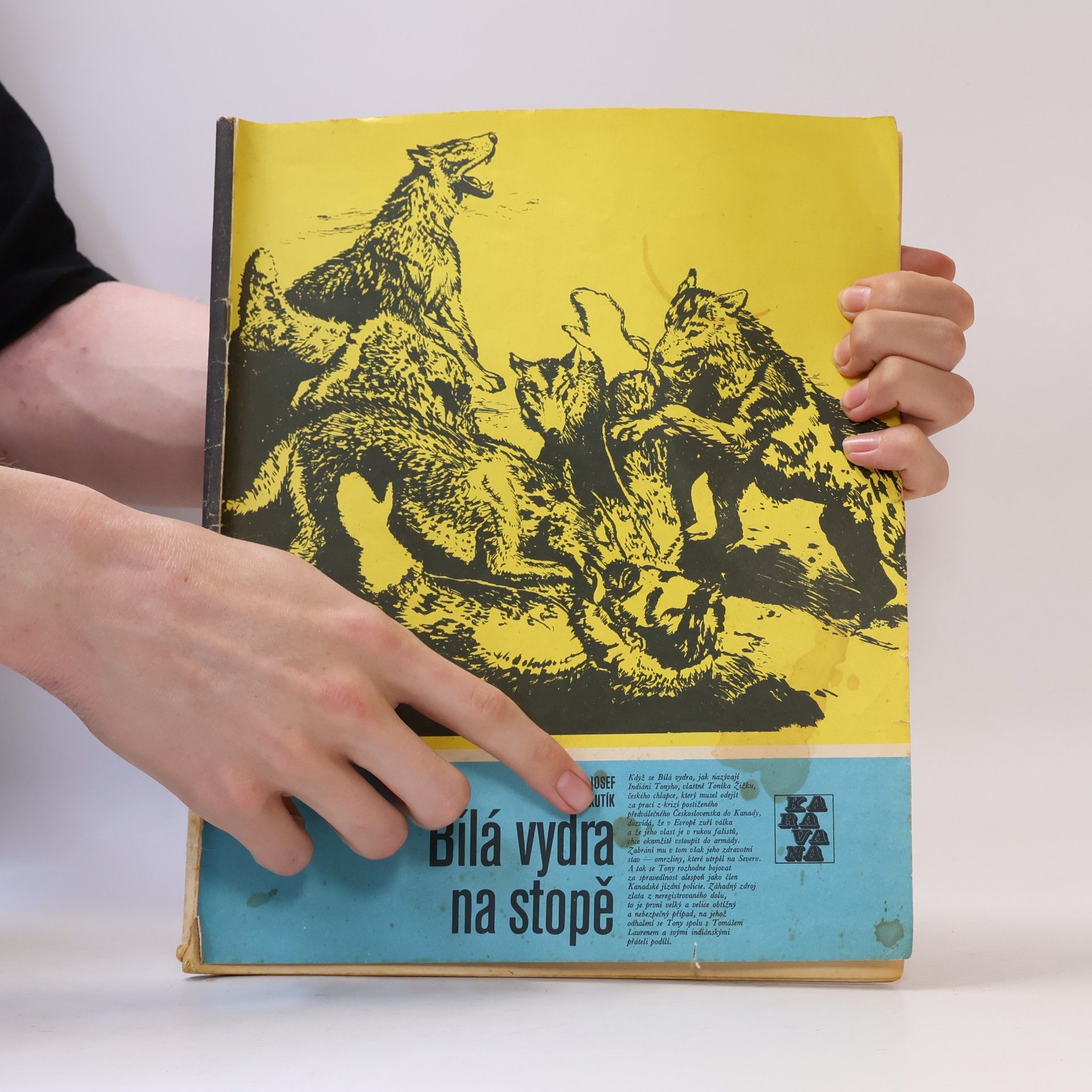 Josef Kutík Karavana 145: Bílá vydra na stopě