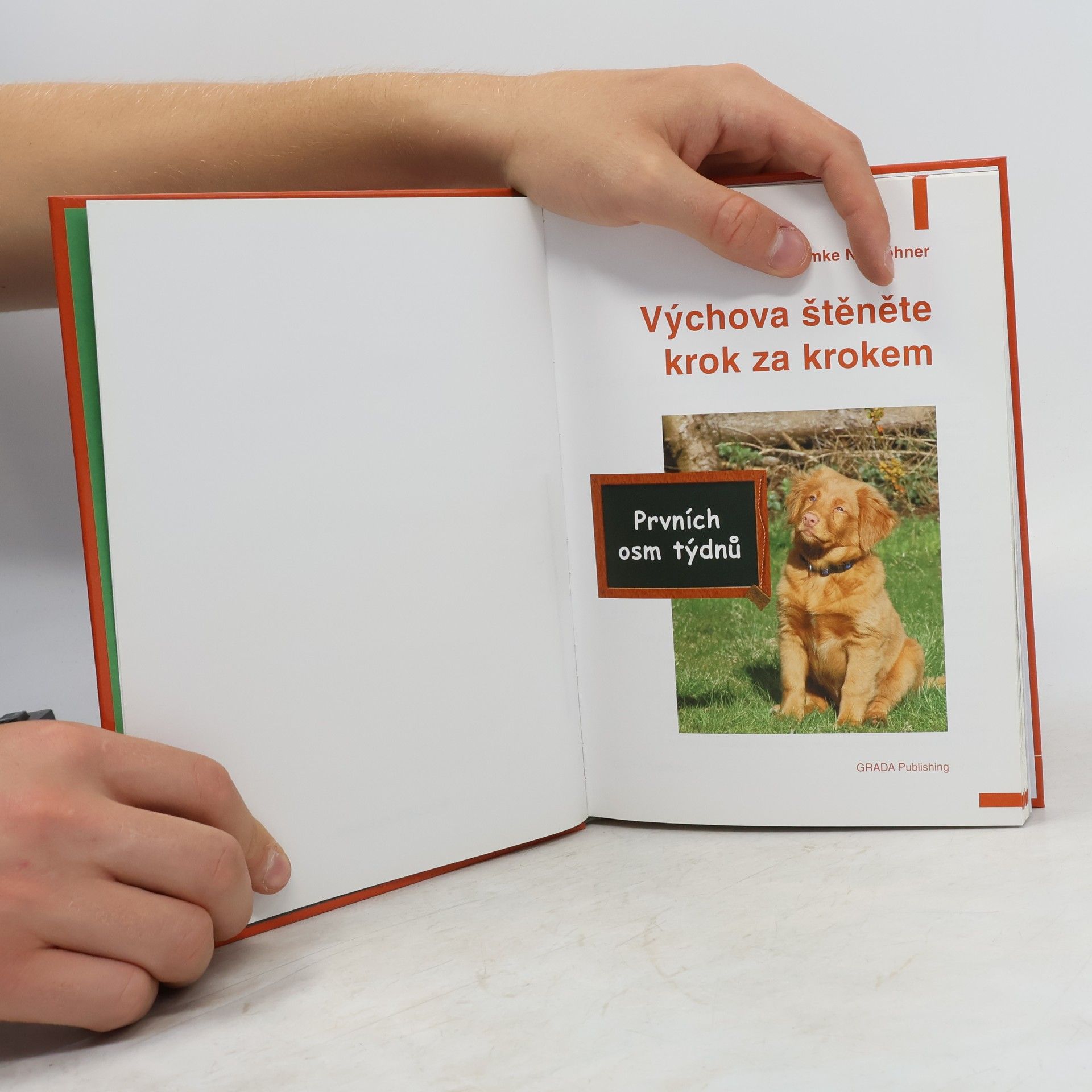 Imke Niewöhner Výchova štěněte krok za krokem