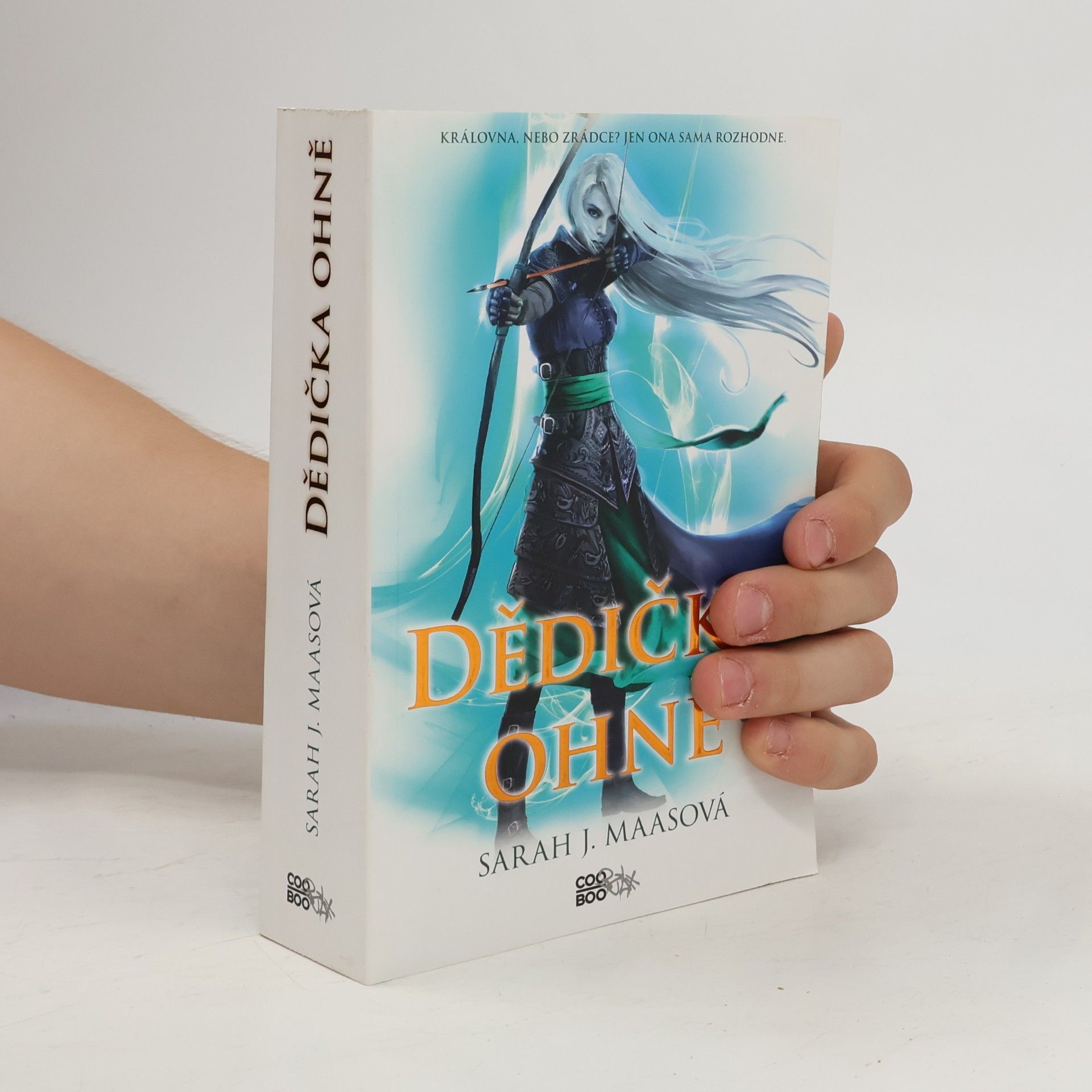 Sarah J. Maas Dědička ohně