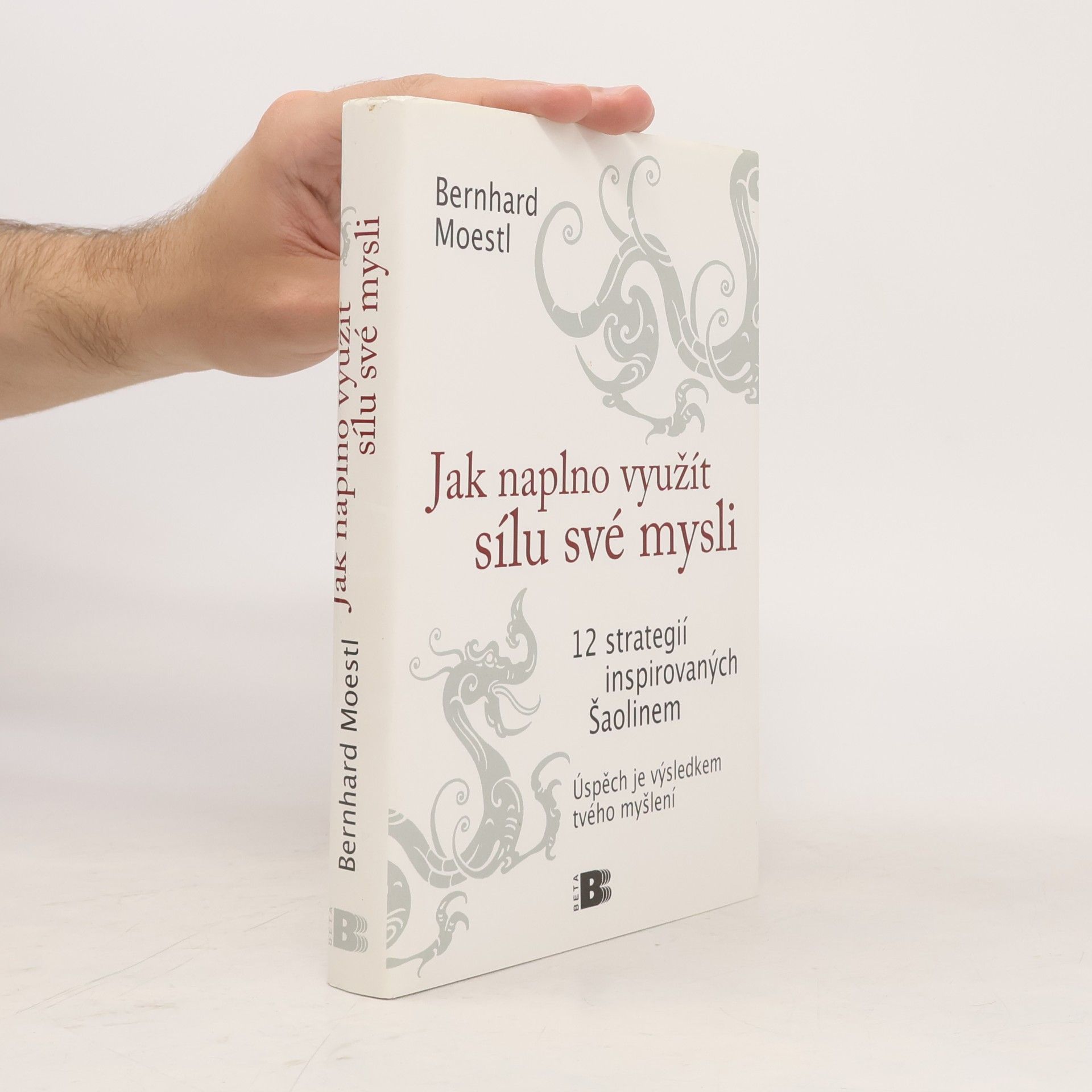 Bernhard Moestl Jak naplno využít sílu své mysli