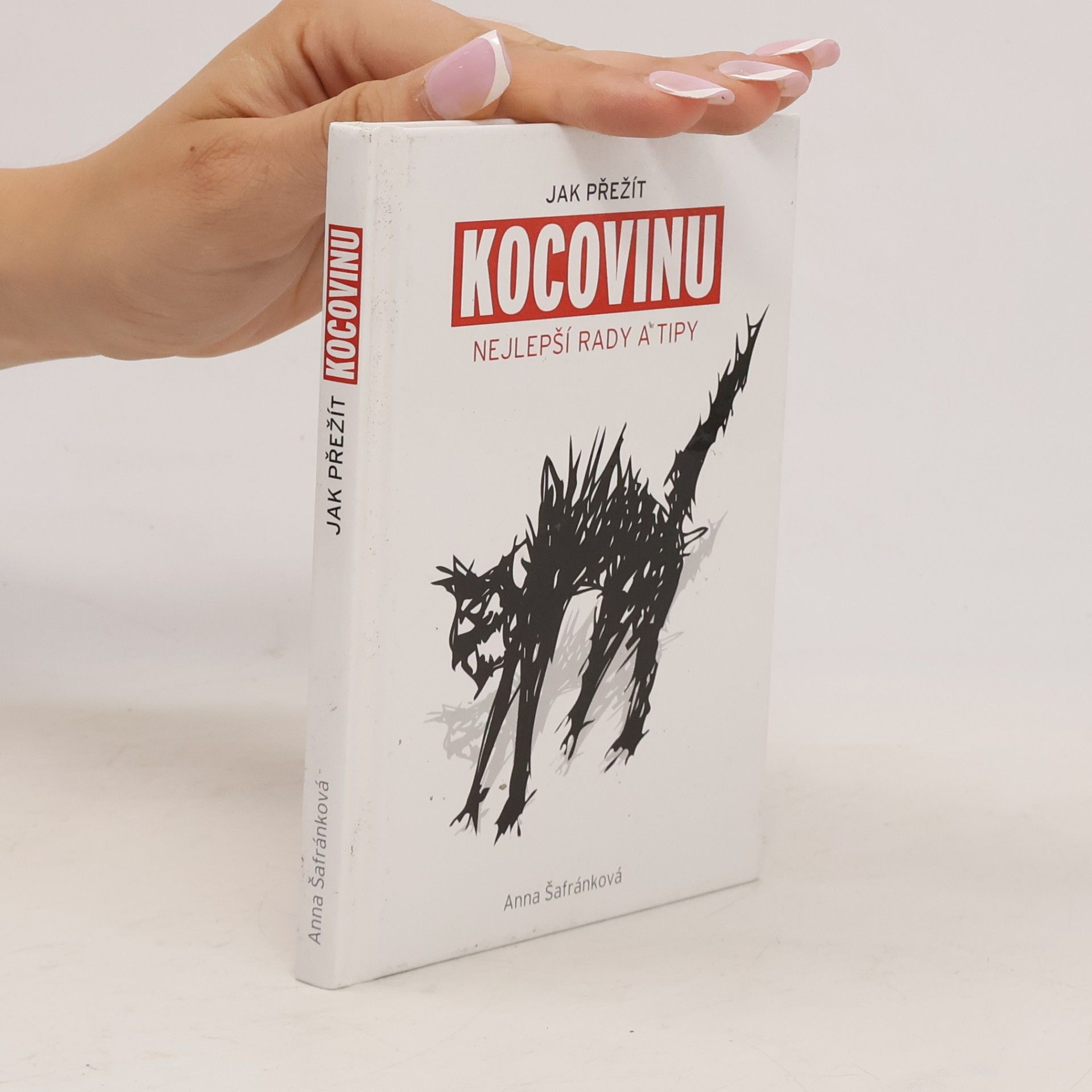 Jak přežít kocovinu: Nejlepší rady a tipy