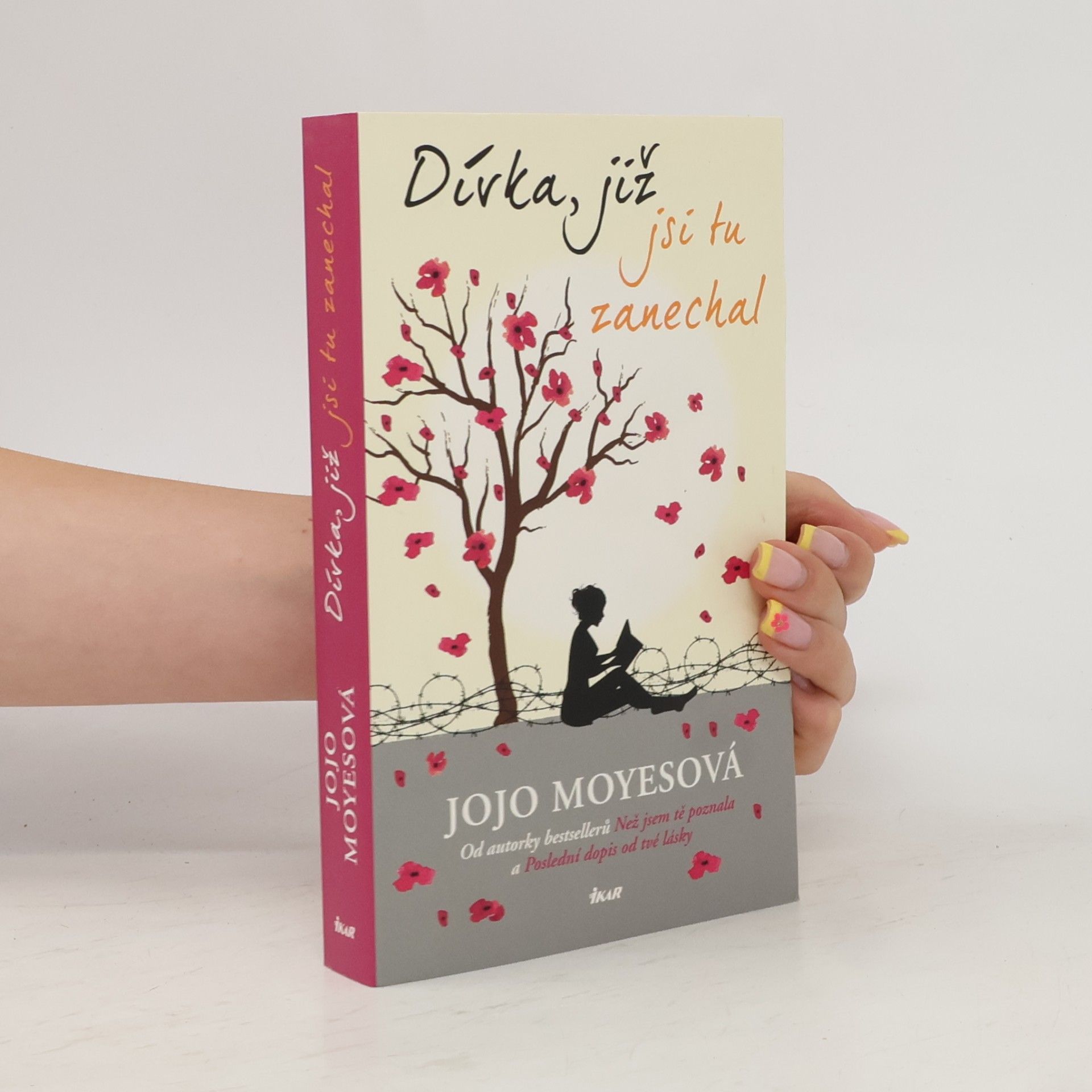 Jojo Moyes Dívka, již jsi tu zanechal