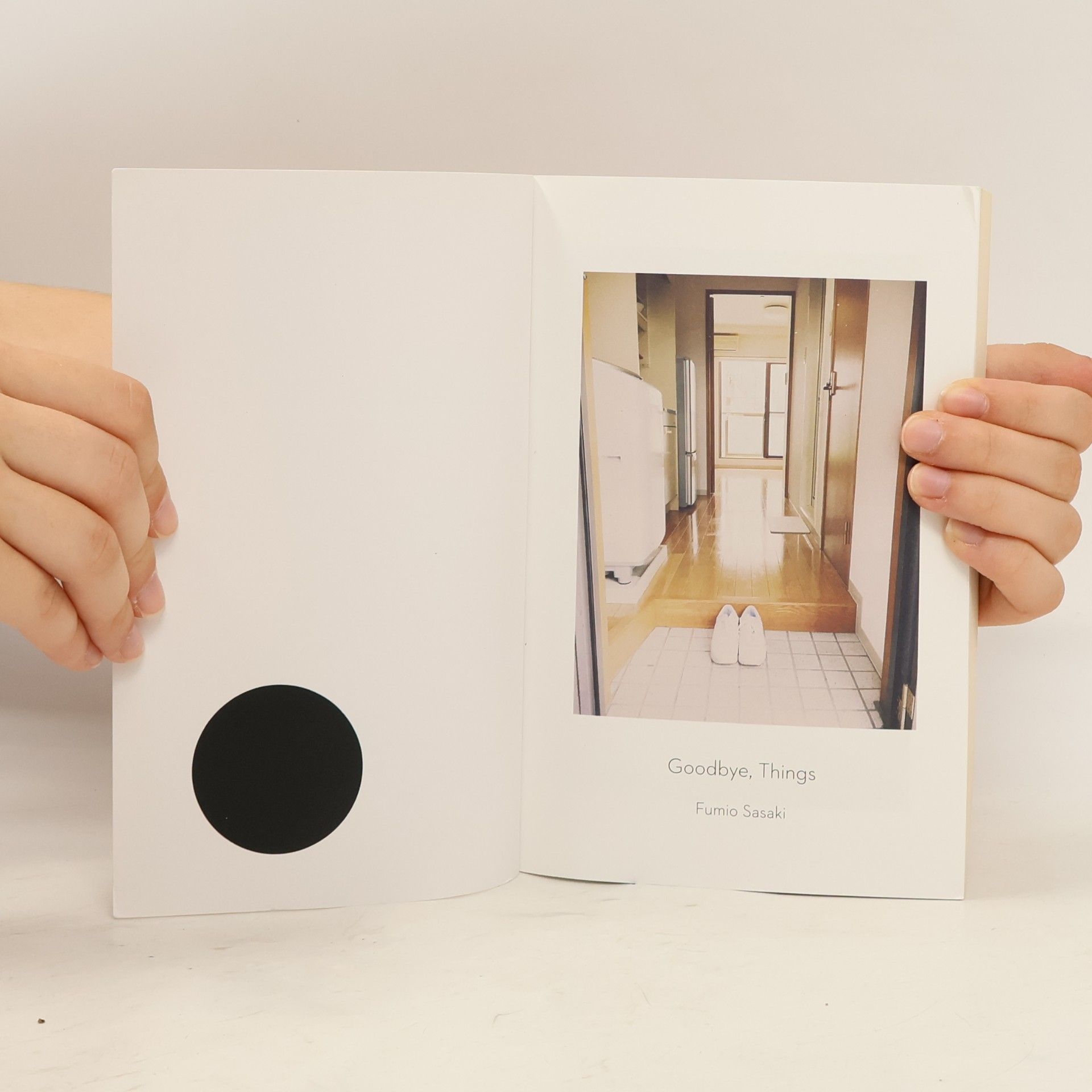 Fumio Sasaki Goodbye, Things