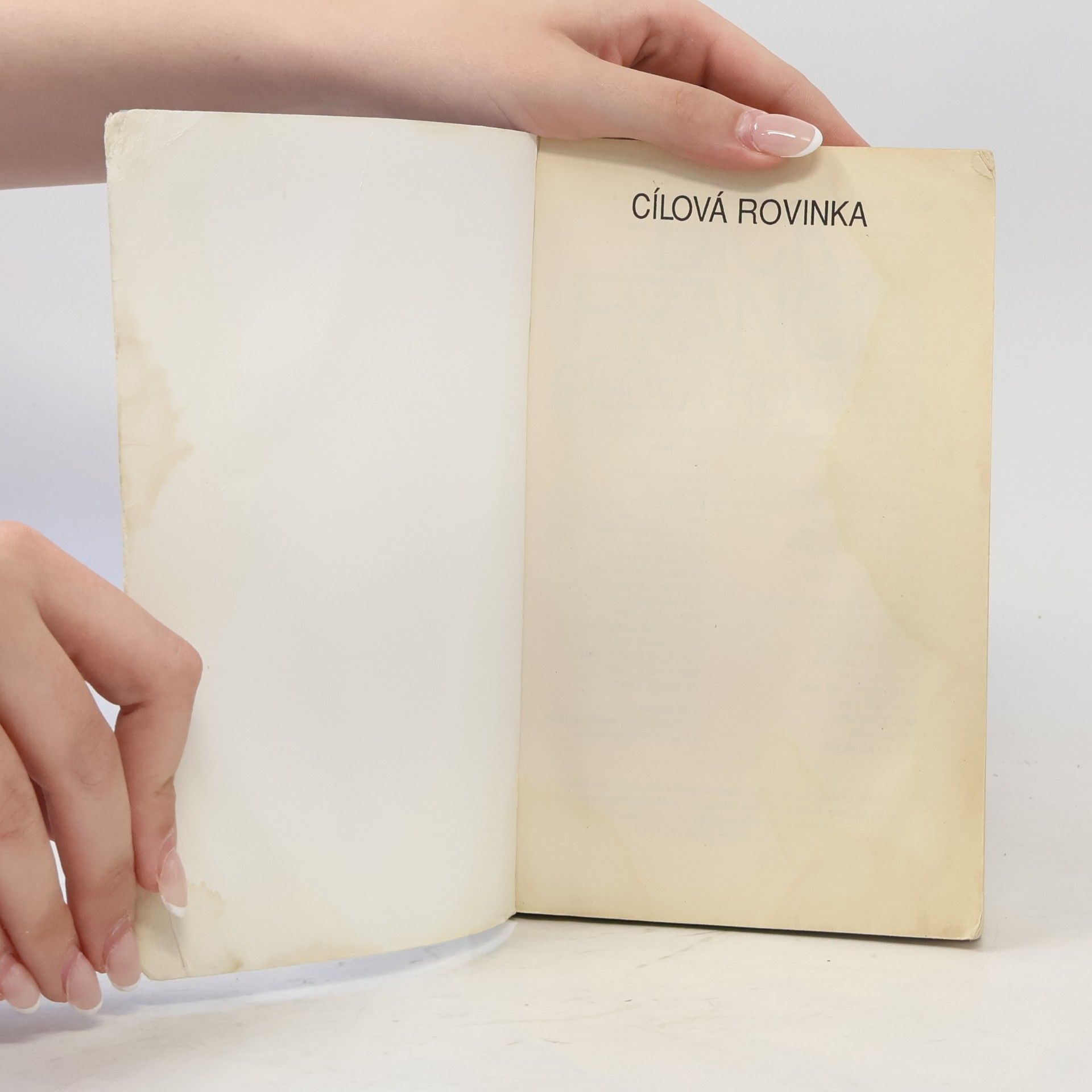 Dick Francis Cílová rovinka
