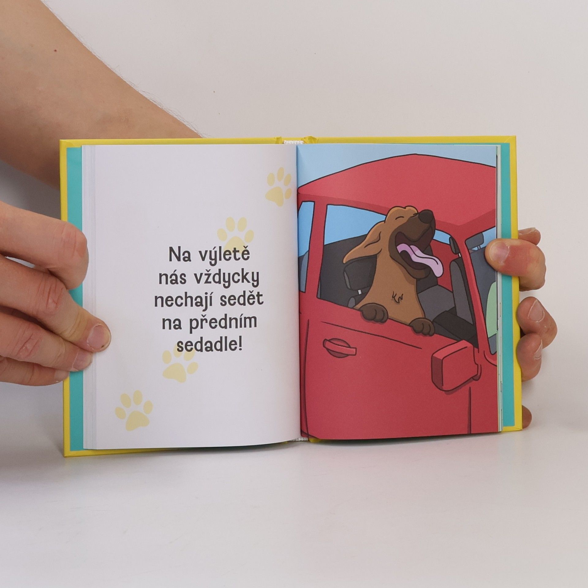 Sam Hart Proč si váš pes myslí, že jste hrdina