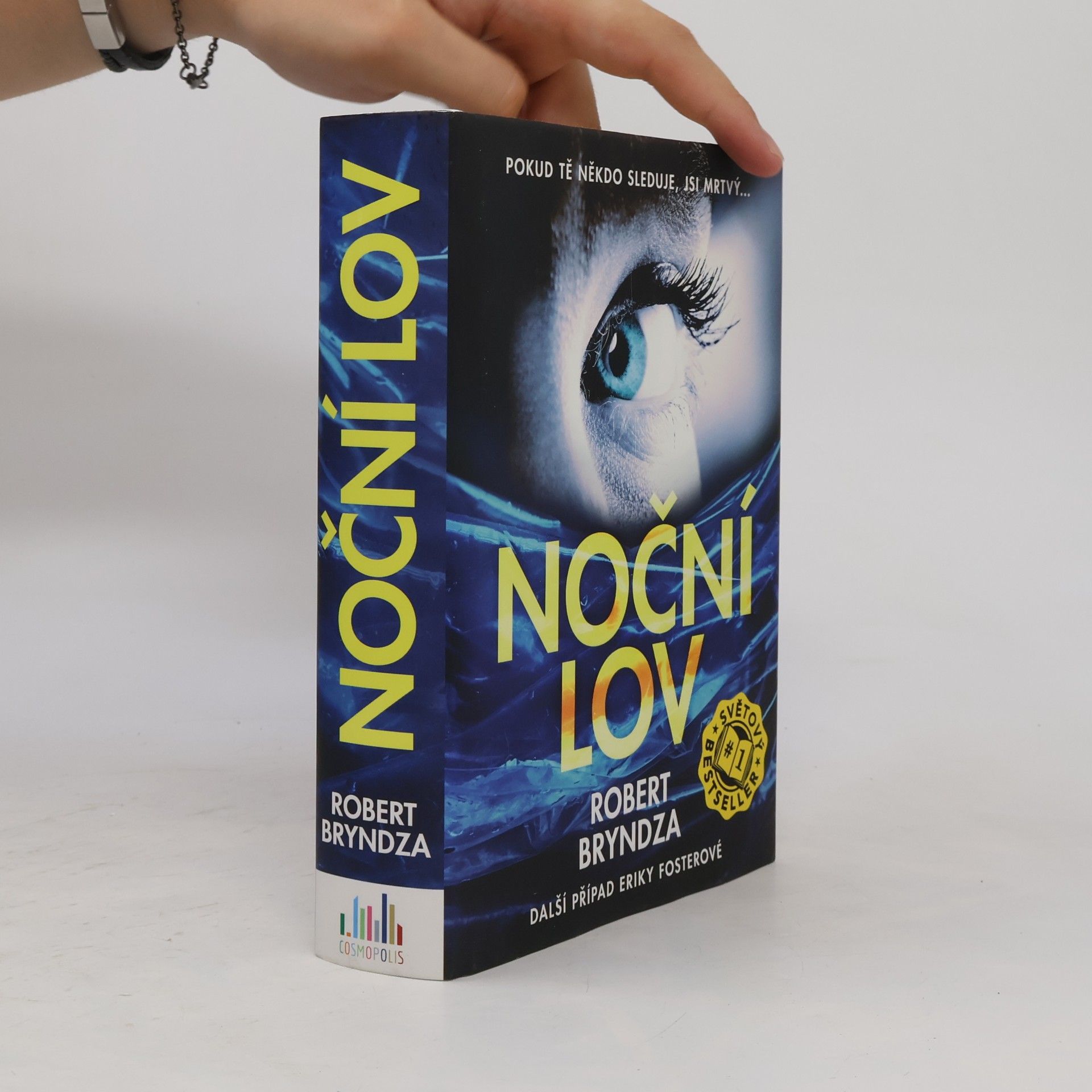 Robert Bryndza Noční lov