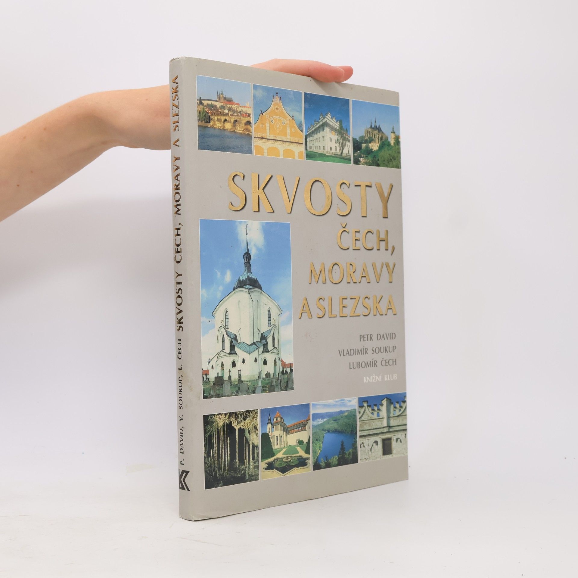 Petr David Skvosty Čech, Moravy a Slezska