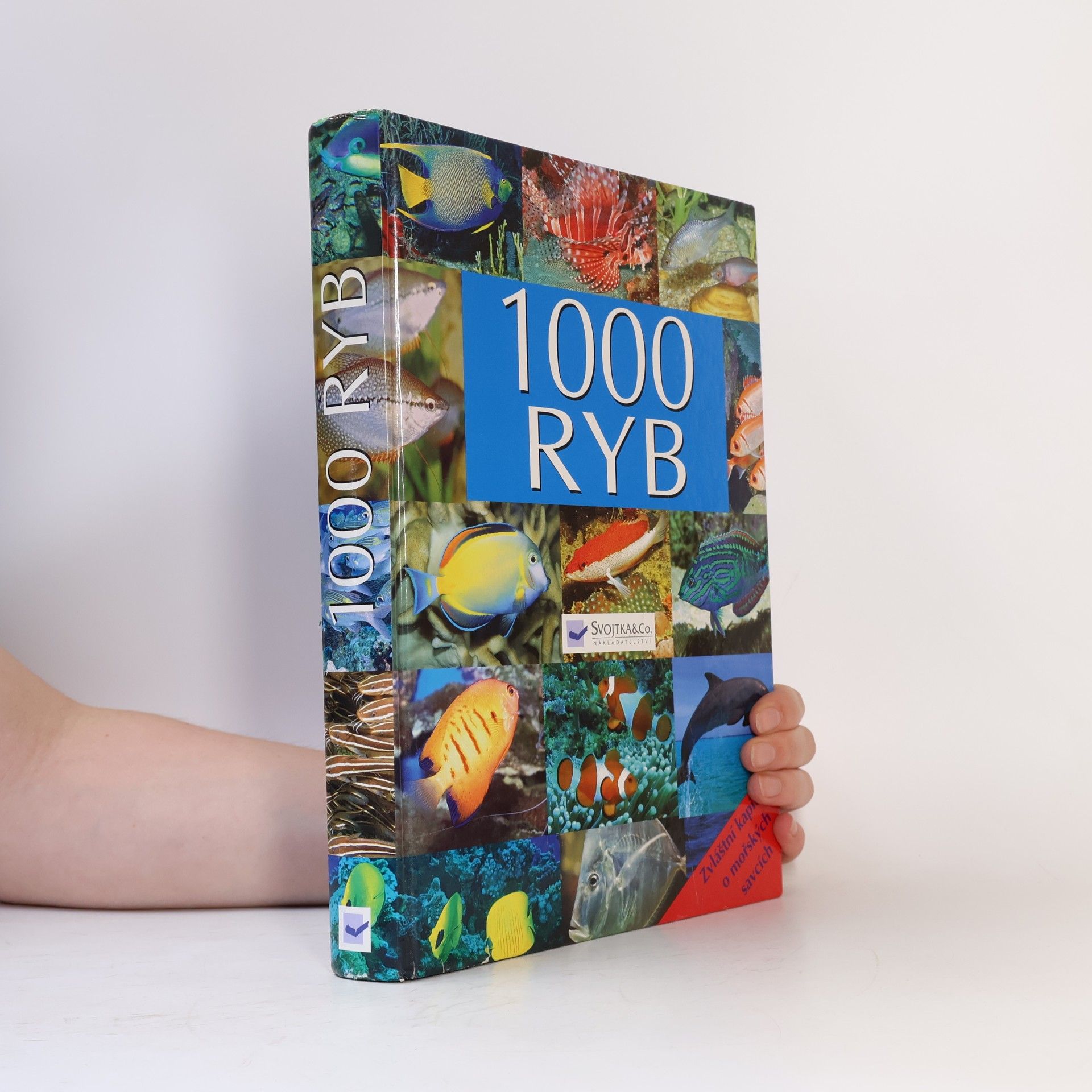 Collectif d'auteurs 1000 ryb