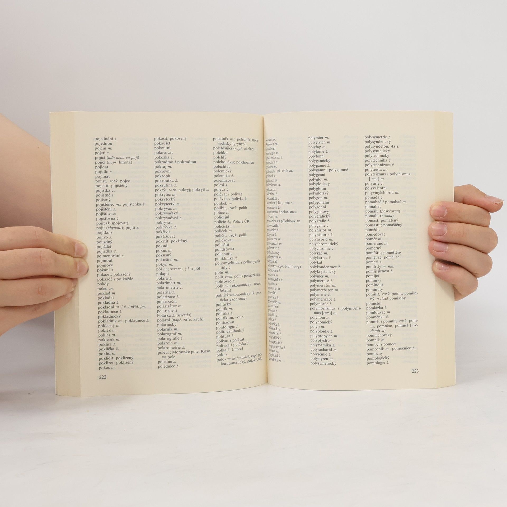 Autorenkollektiv Pravidla českého pravopisu