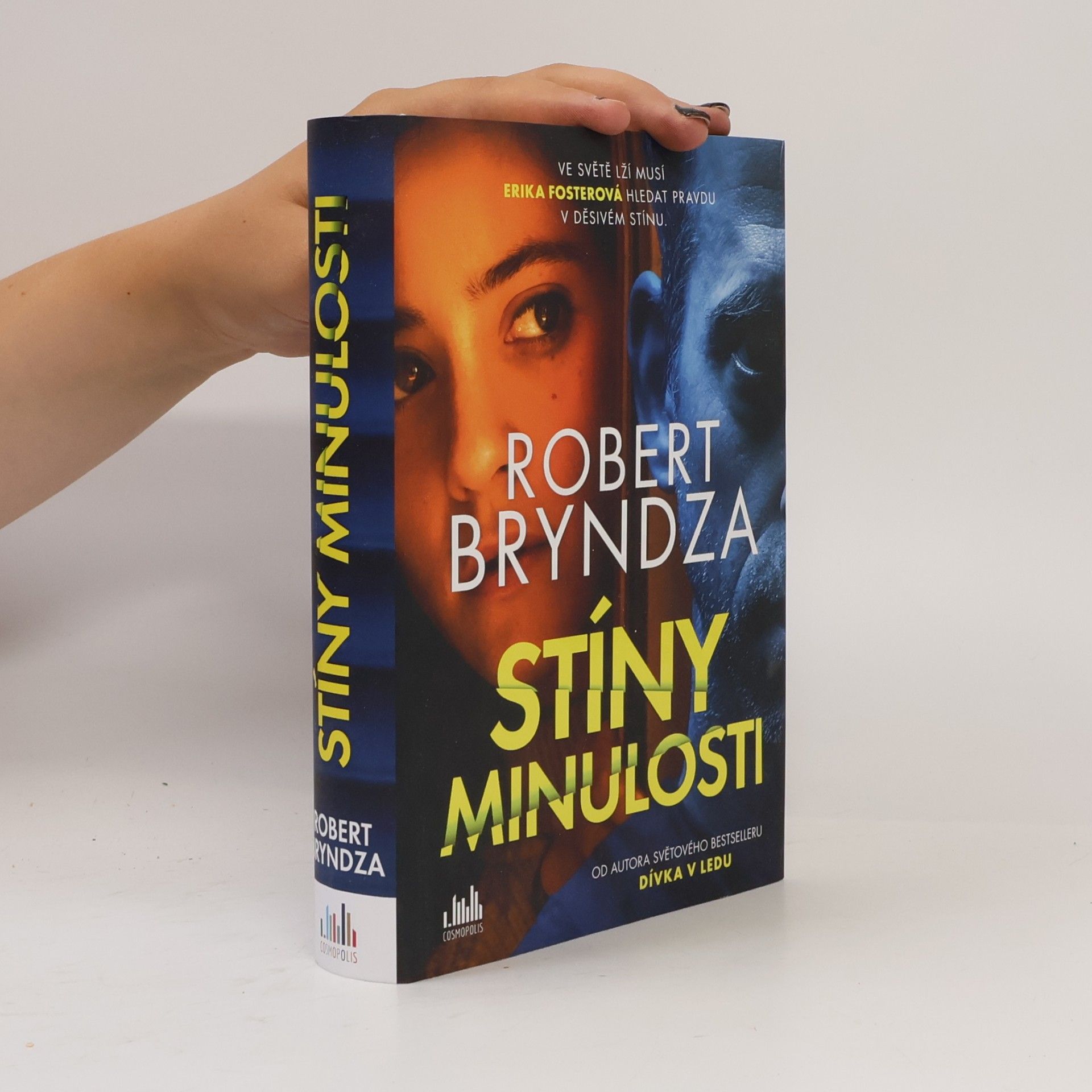 Robert Bryndza Stíny minulosti