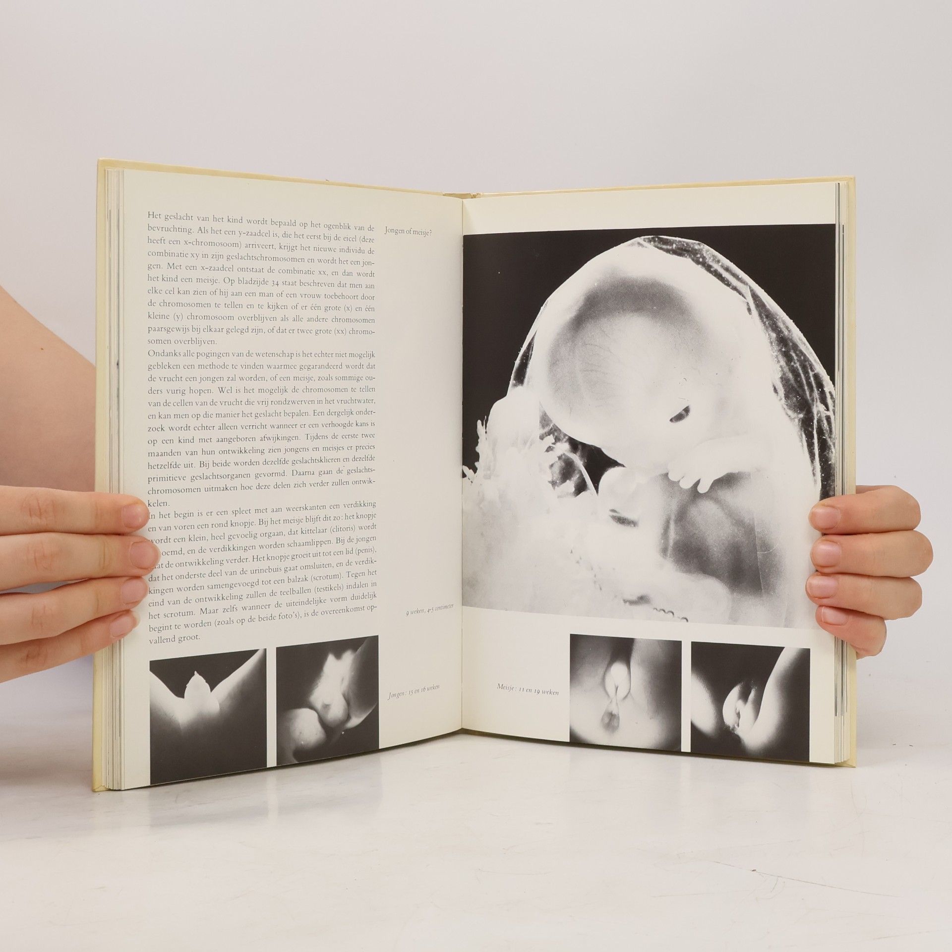 Lennart Nilsson Het grote wonder