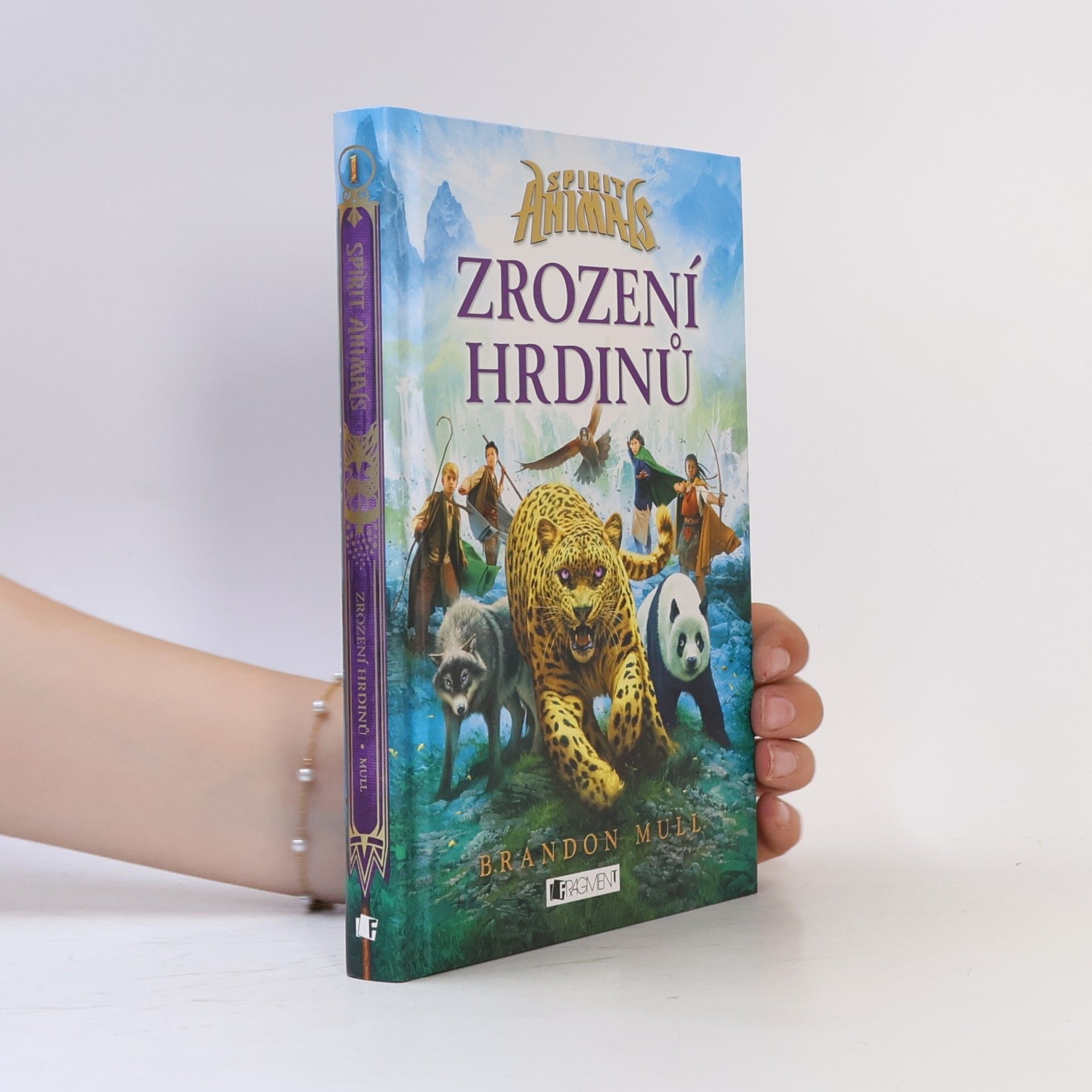 Brandon Mull Zrození hrdinů