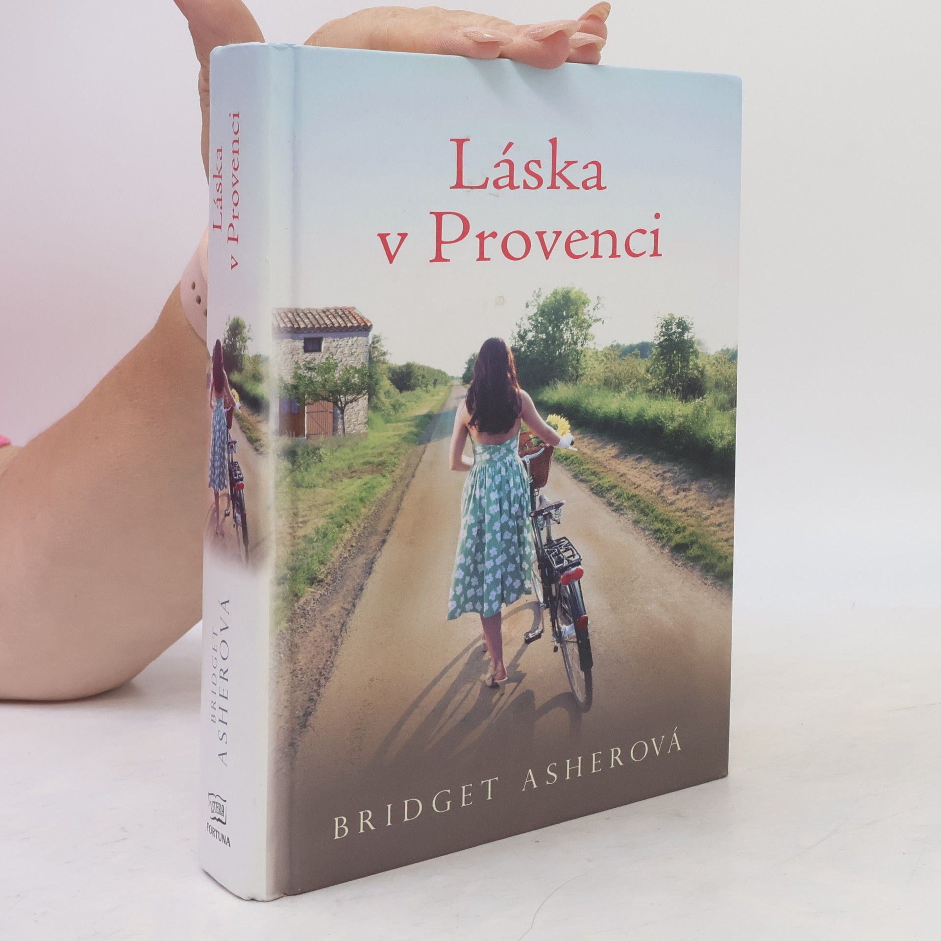 Bridget Asher Láska v Provenci