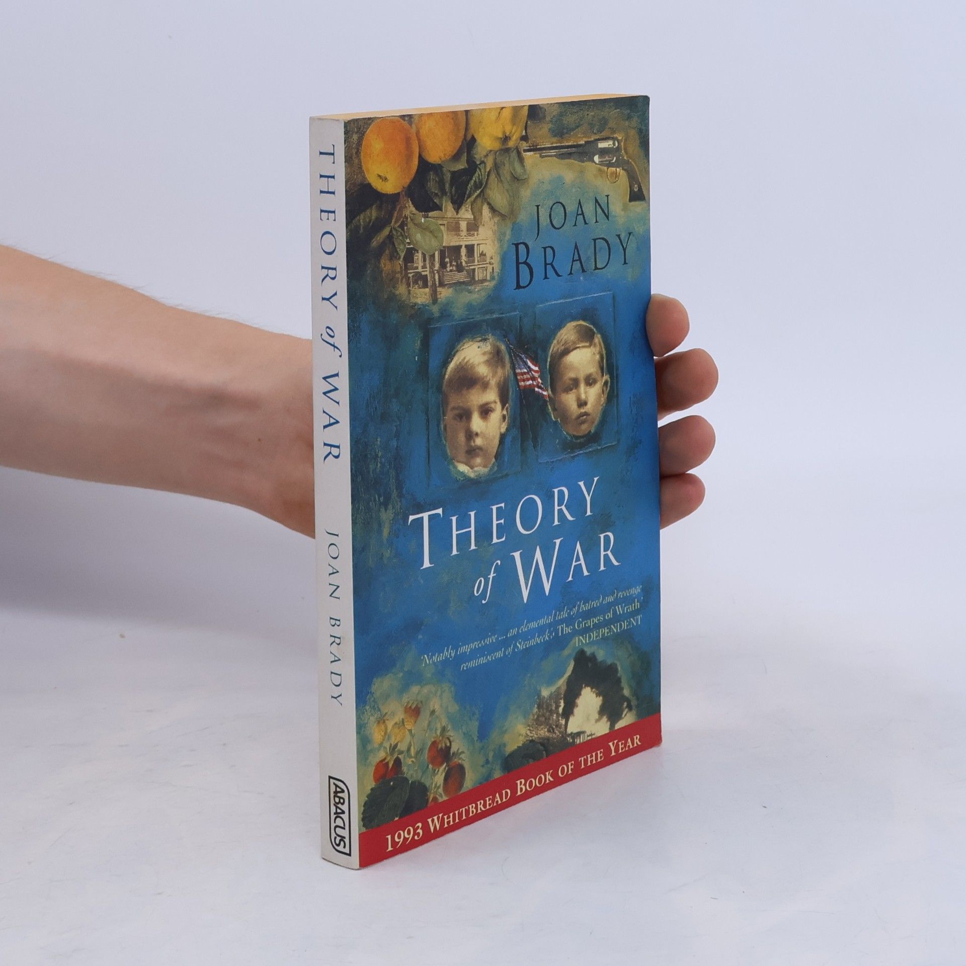 Joan Brady Theory of War