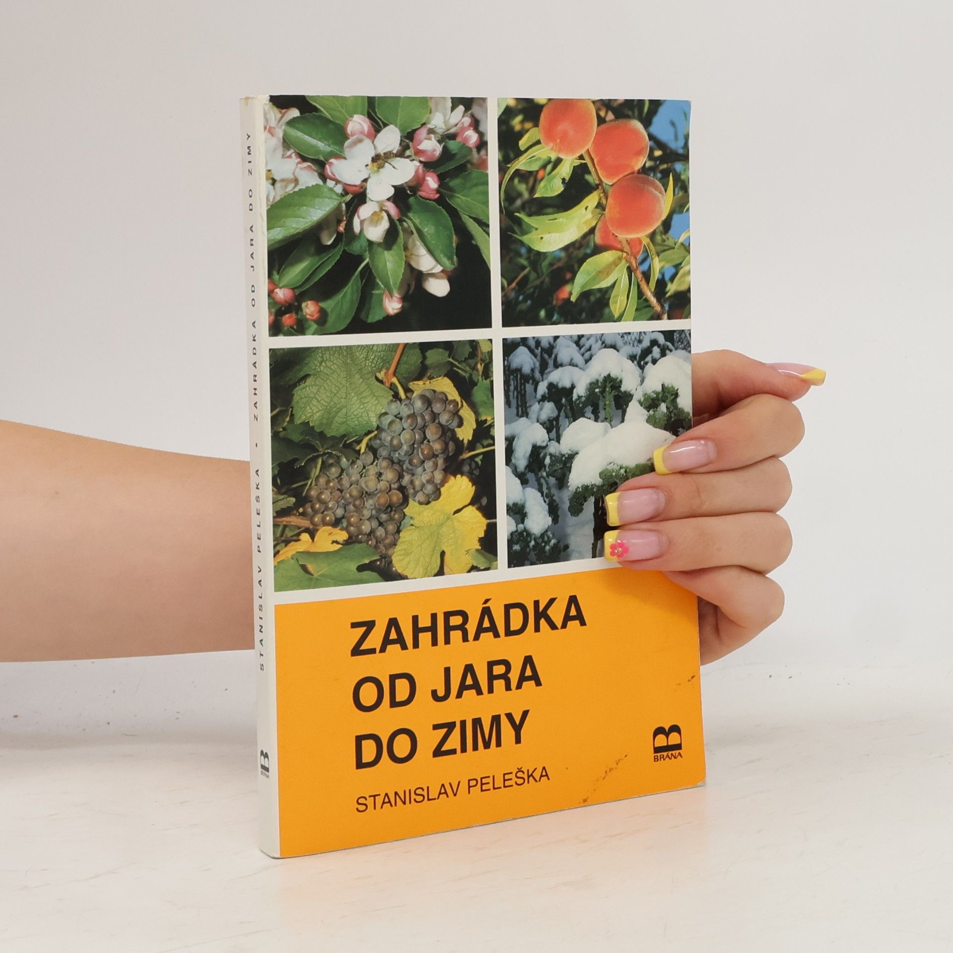 Zahrádka od jara do zimy