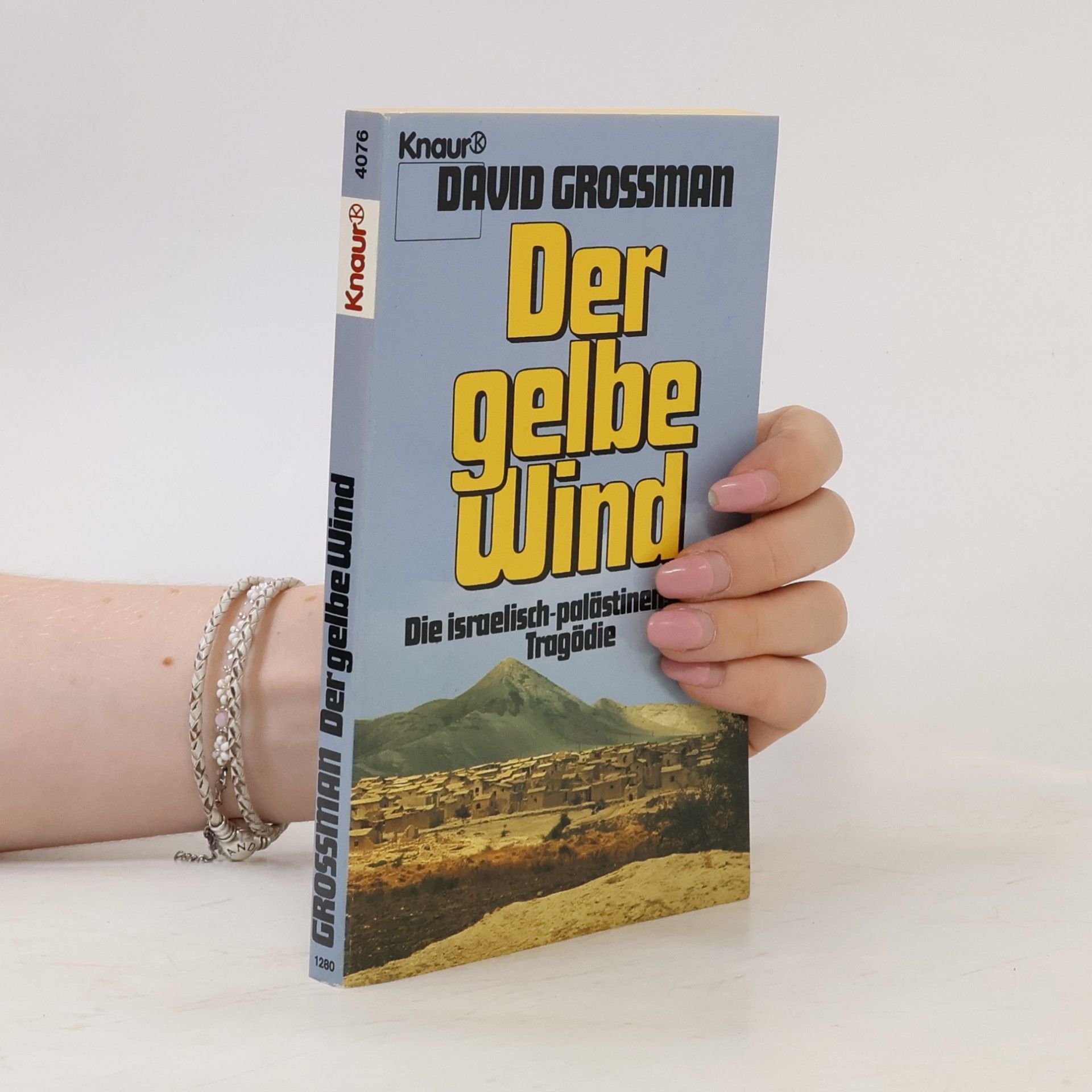 David Grossman Der gelbe Wind