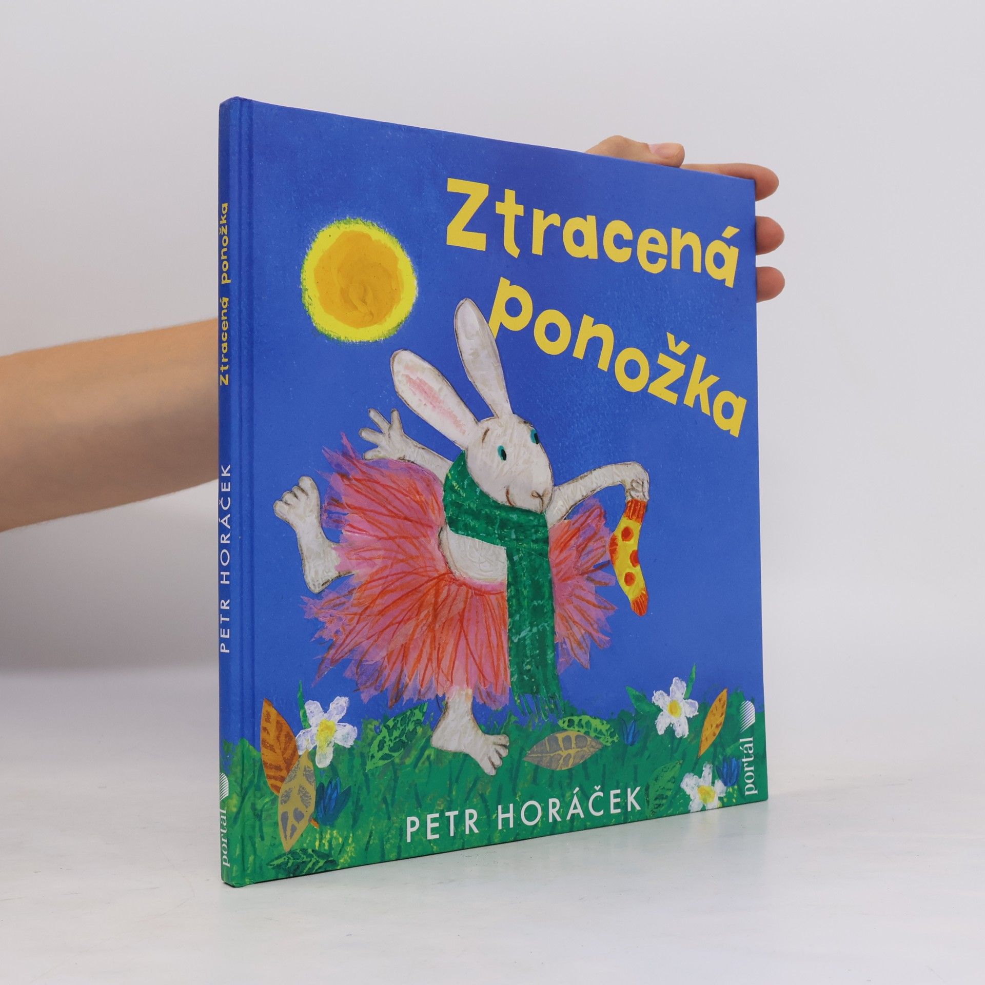 Ztracená ponožka