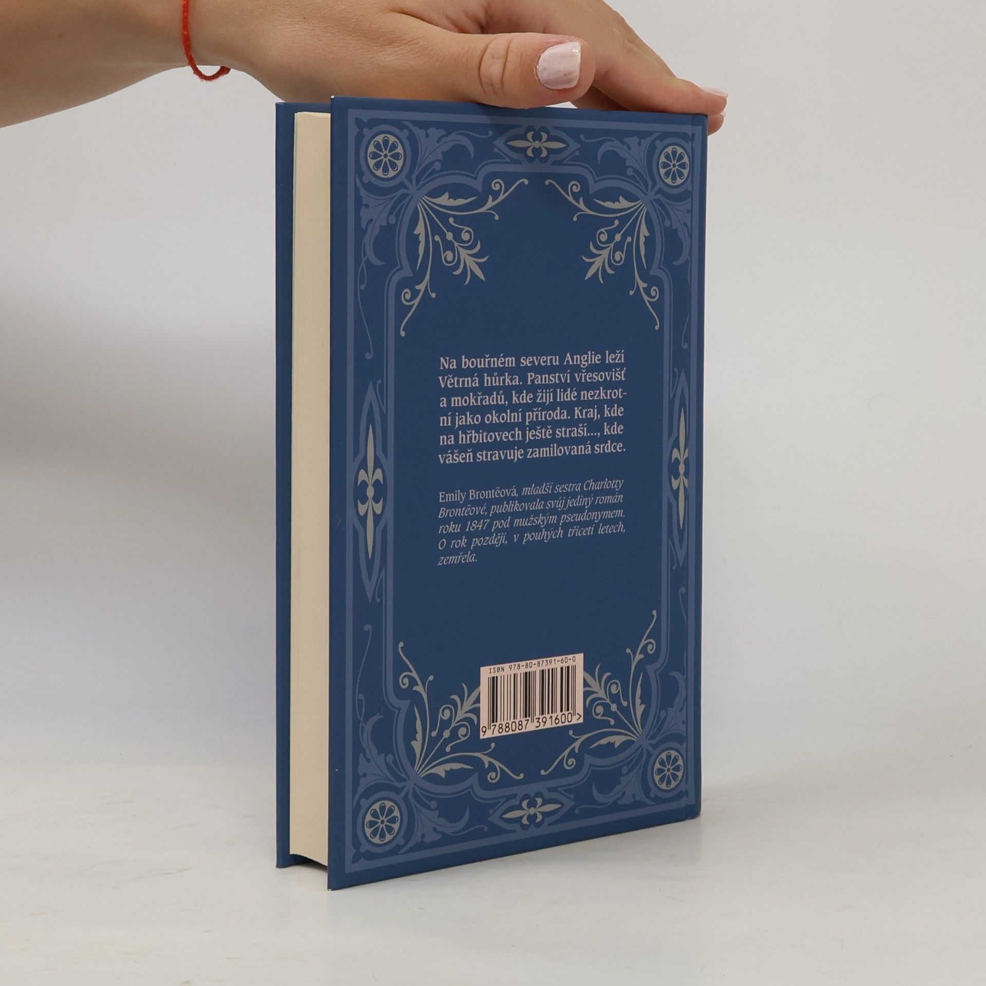 Emily Brontë Na větrné hůrce