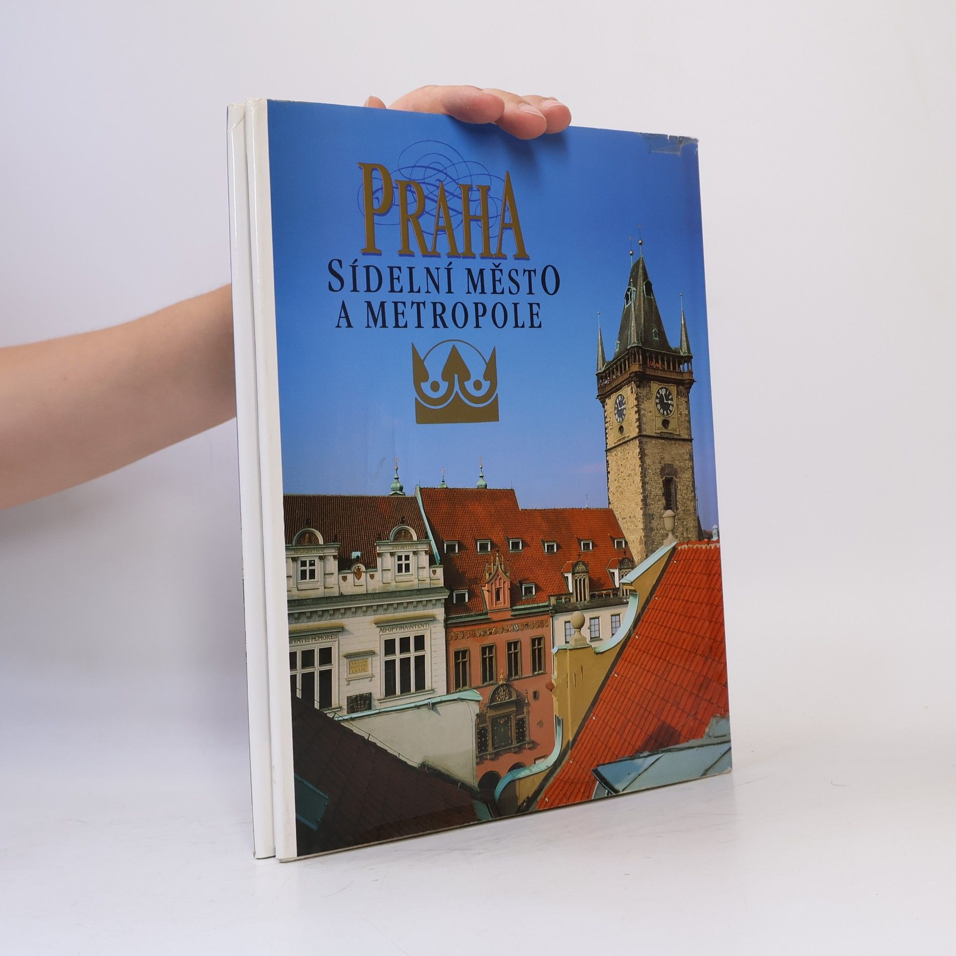 Petr Čornej Praha sídelní město a metropole
