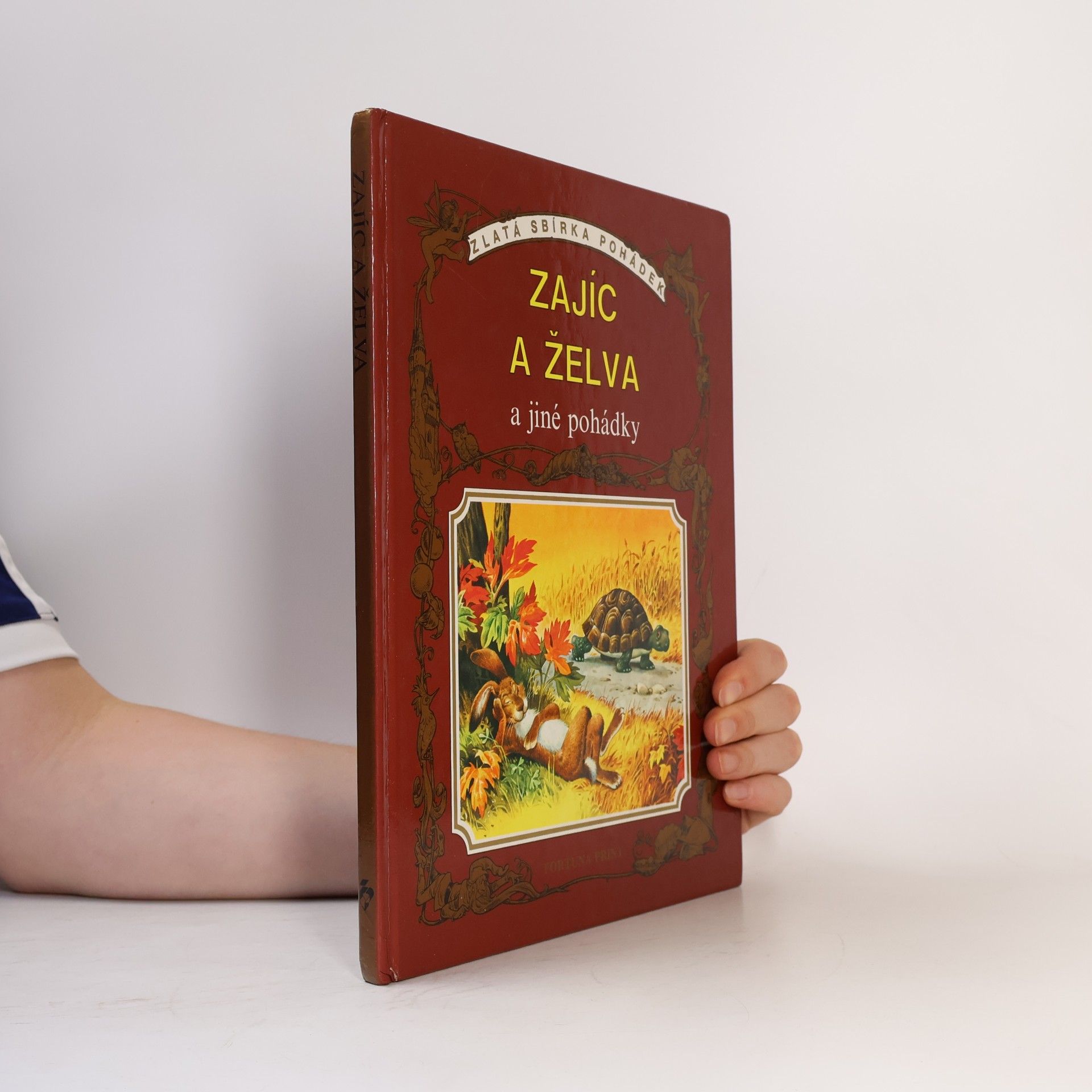 Collectif d'auteurs Zajíc a želva a jiné pohádky