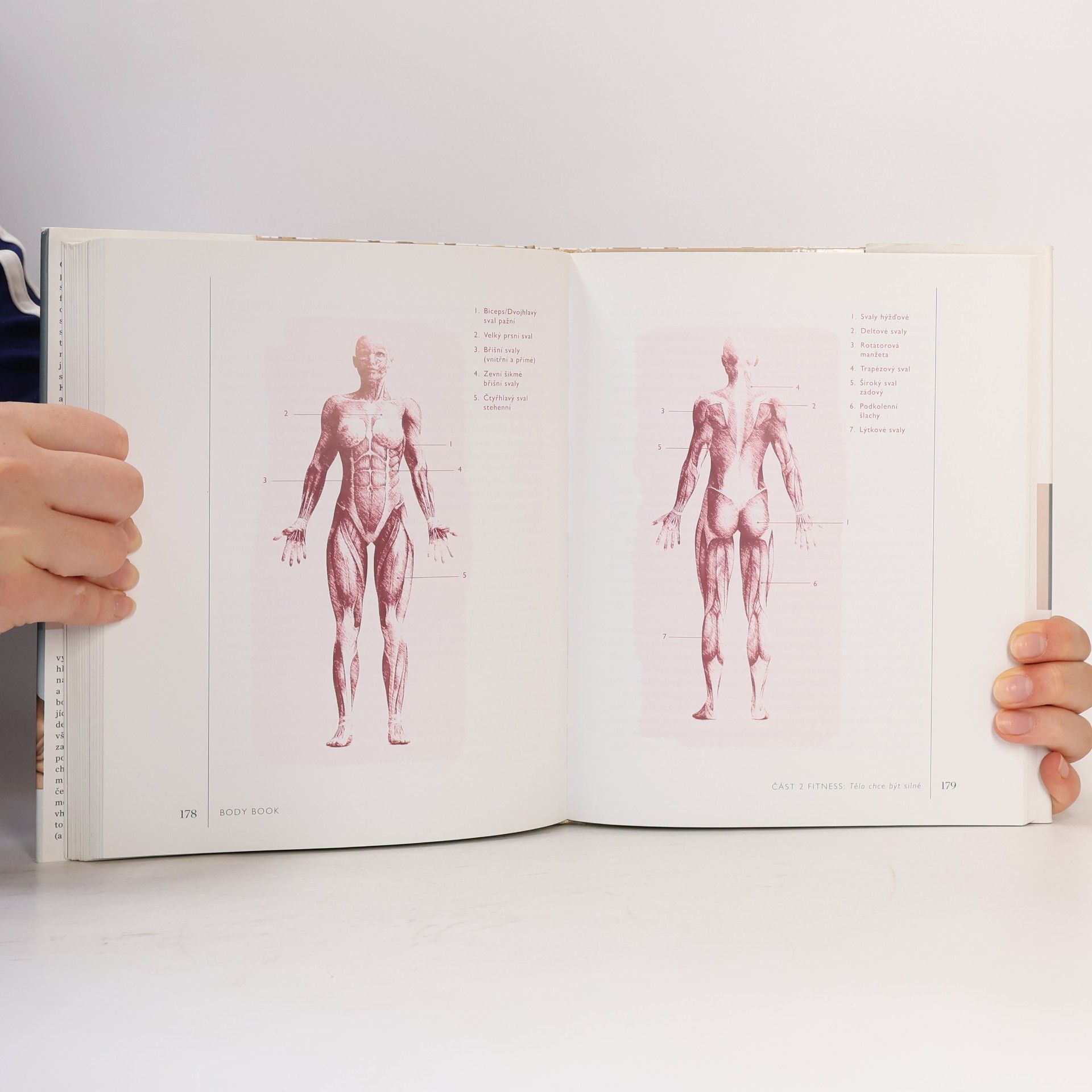 Cameron Diaz Body book