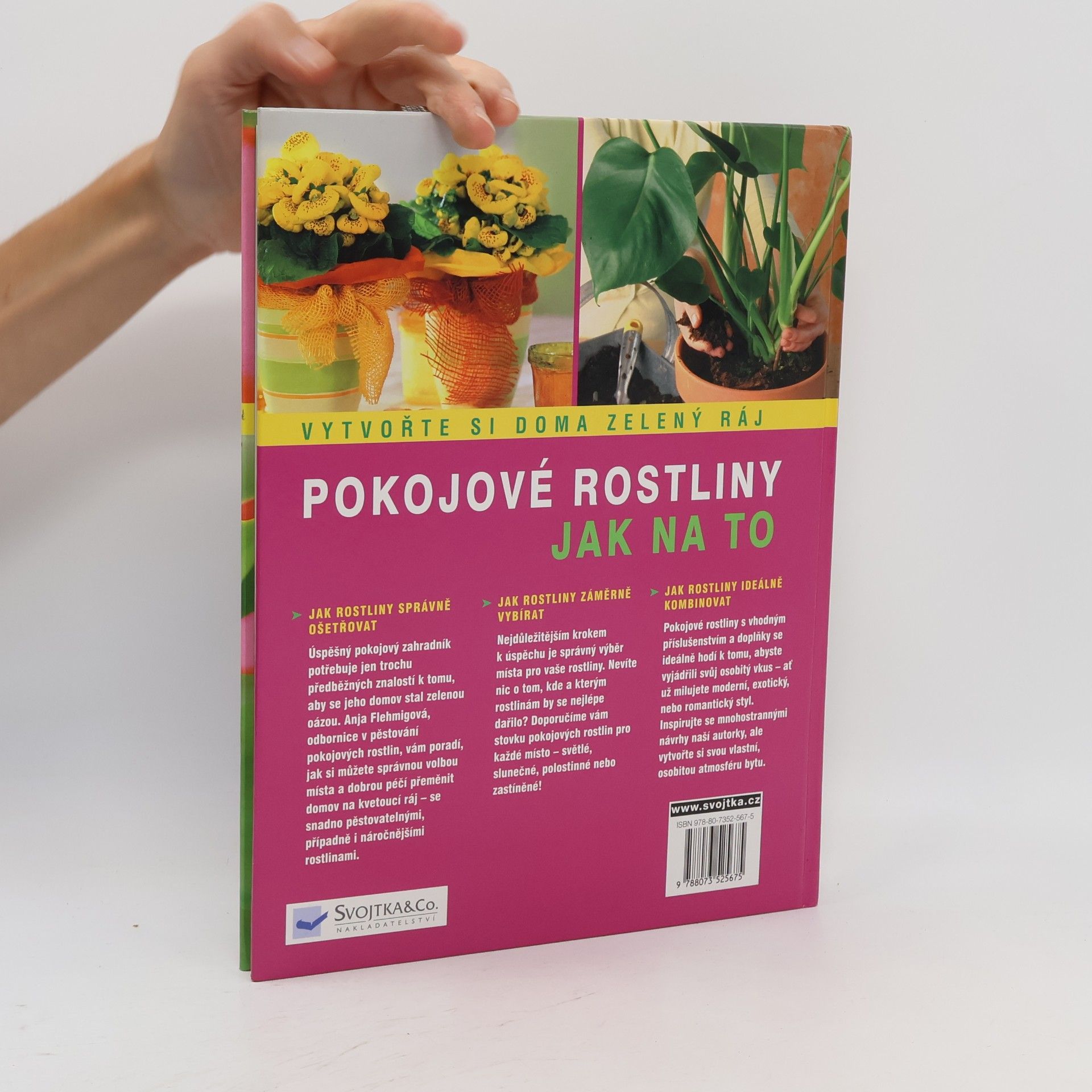 Anja Flehmig Pokojové rostliny: Krok za krokem k zelenému ráji