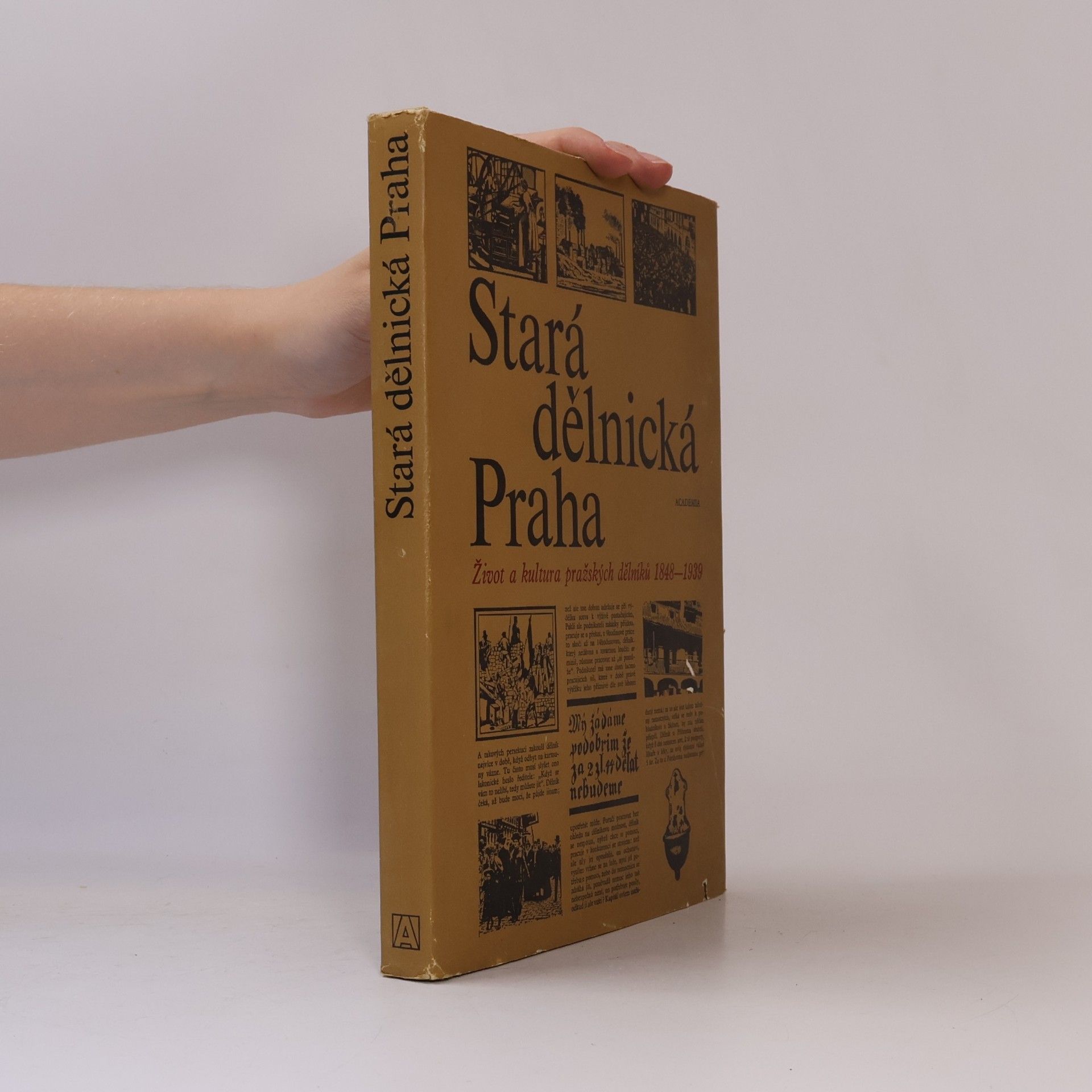 Kolektív autorov Stará dělnická Praha. Život a kultura pražských dělníků 1848-1939