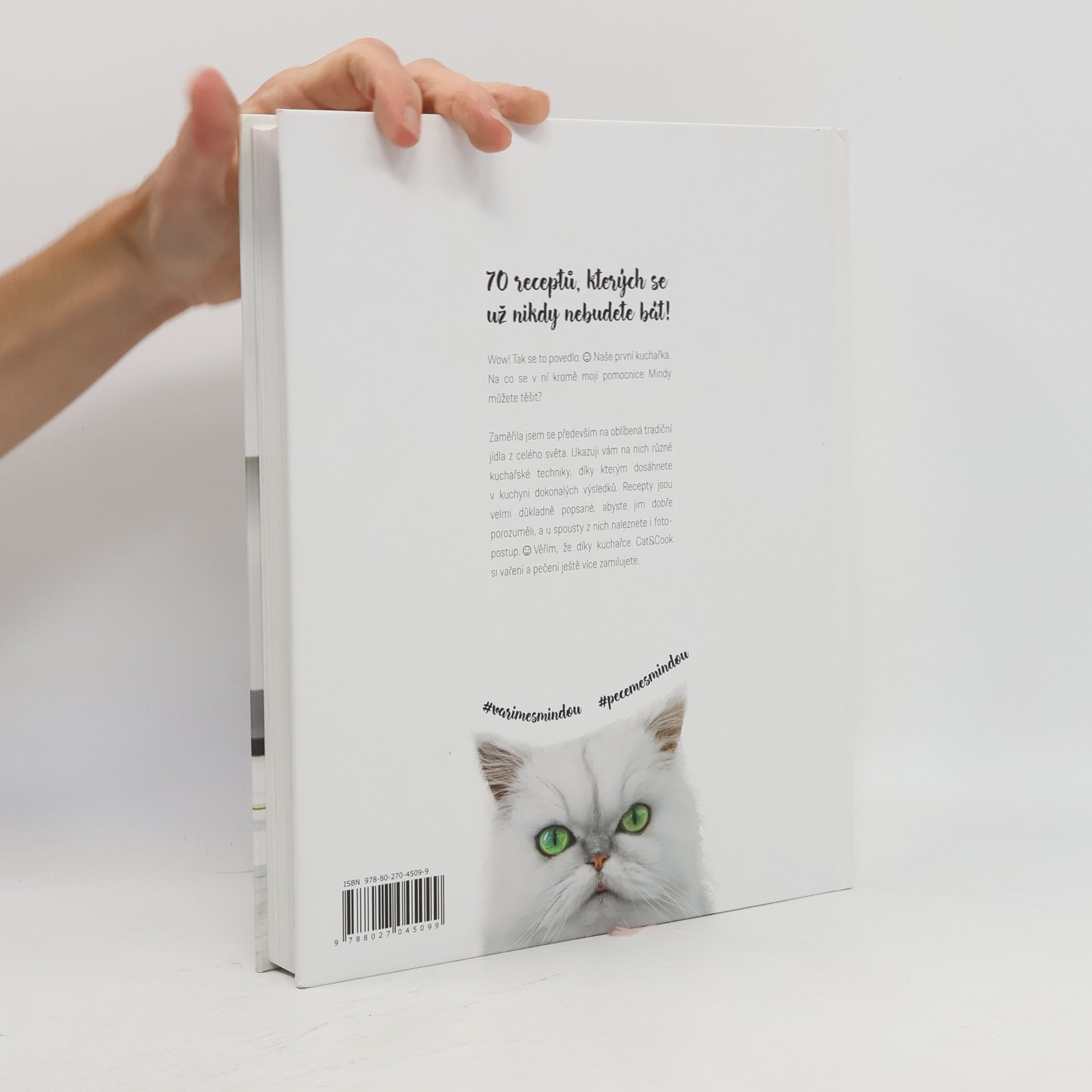 Ivka Jindřichová Cat & Cook