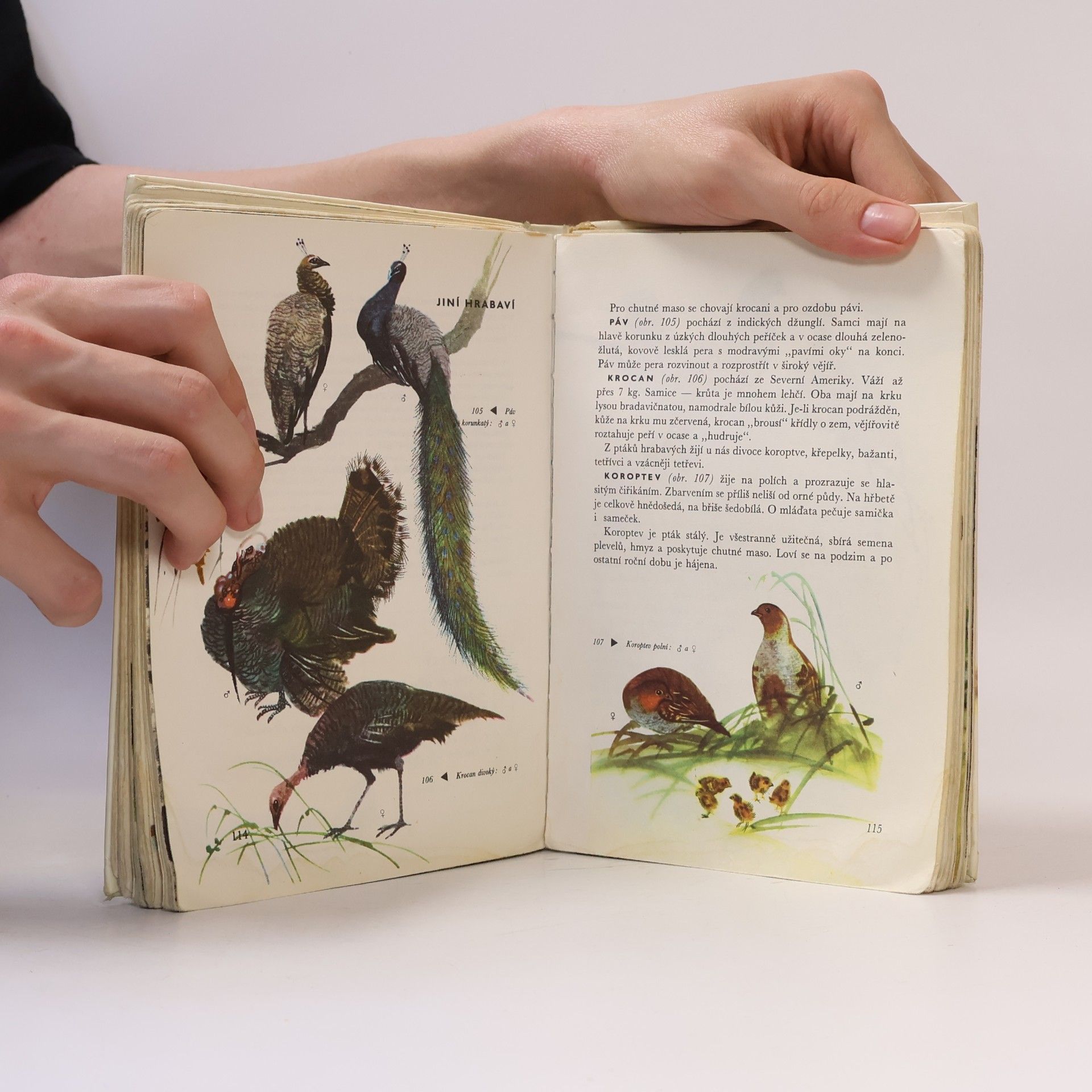 Jindřich Roubal Zoologie pro 6. ročník základních devítiletých škol