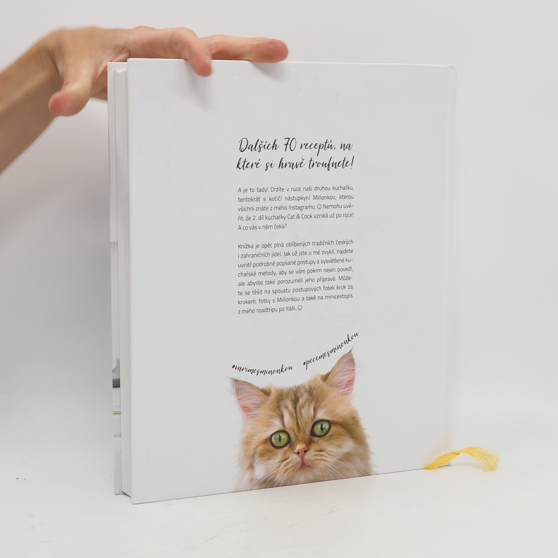 Ivka Jindřichová Cat & Cook 2