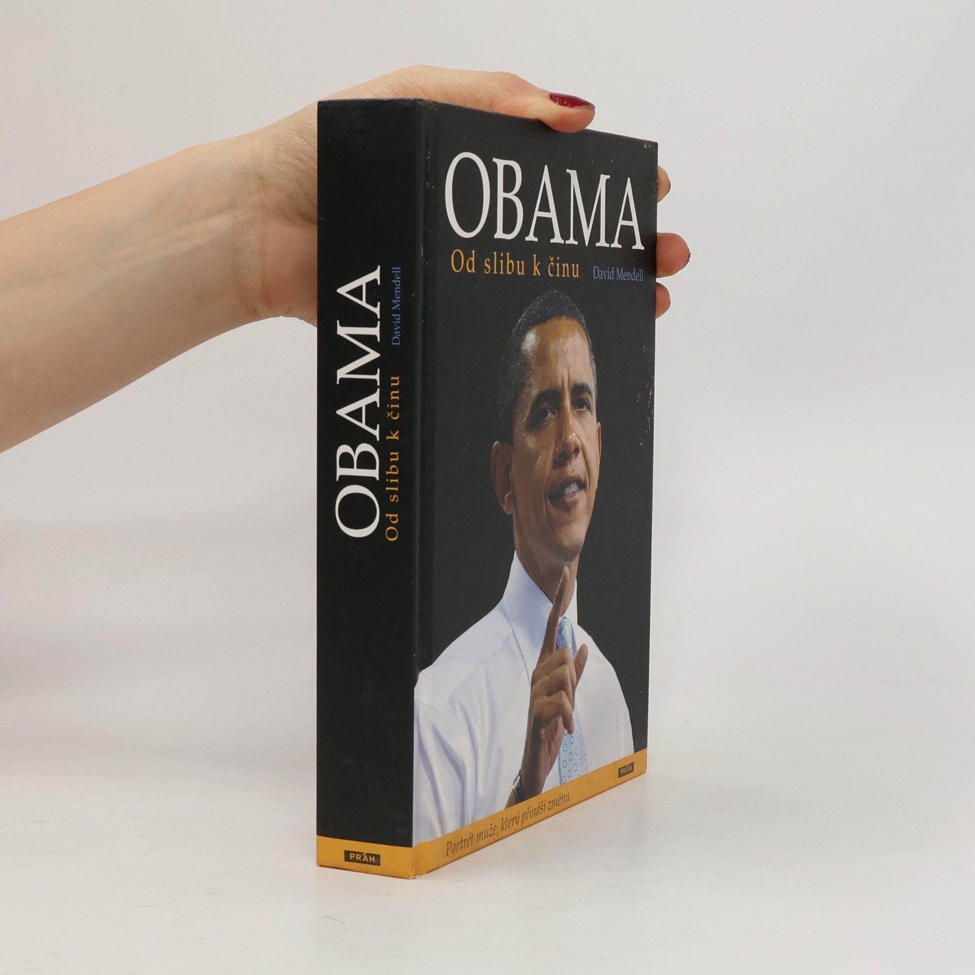 David Mendell Obama. Od slibu k činu
