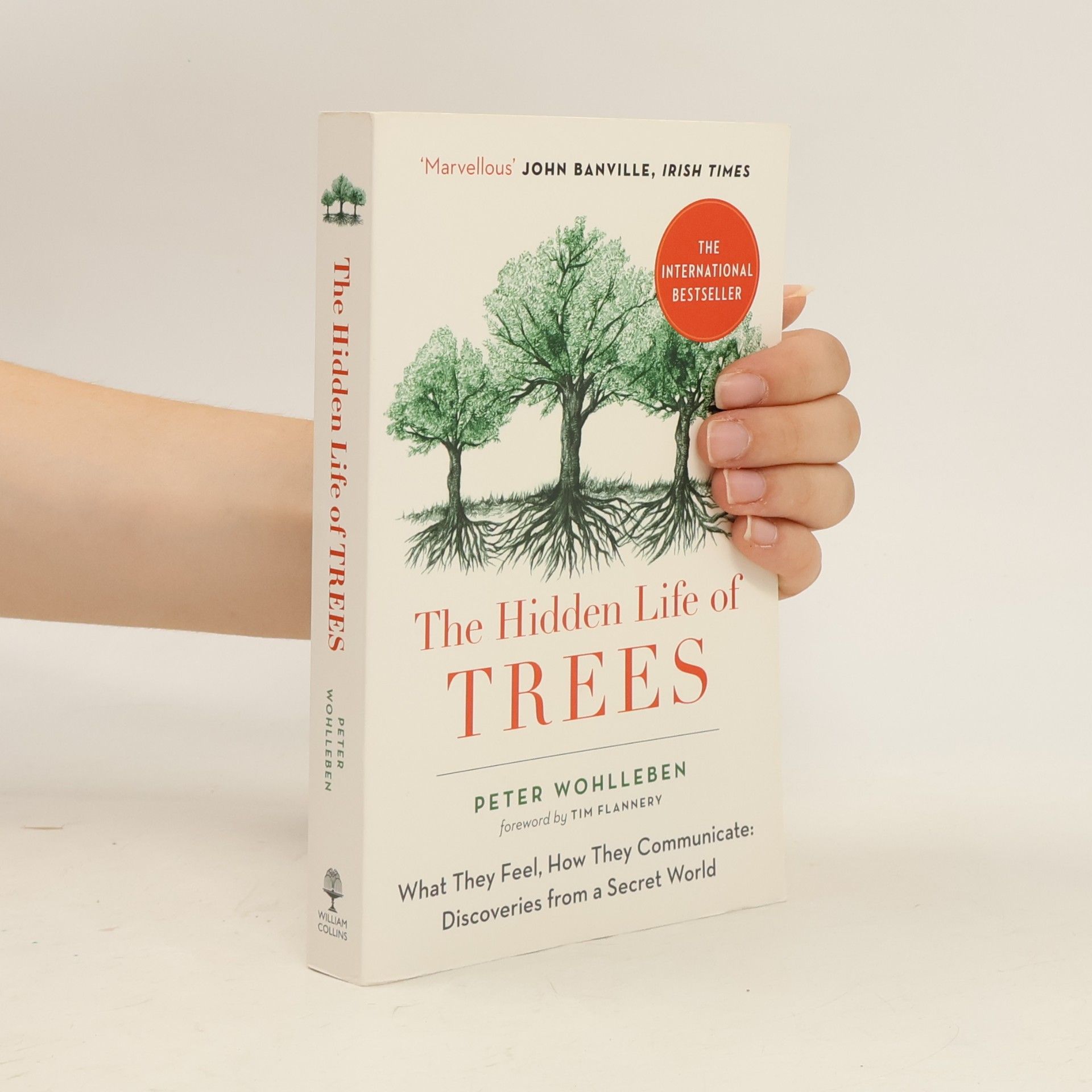The hidden life of trees