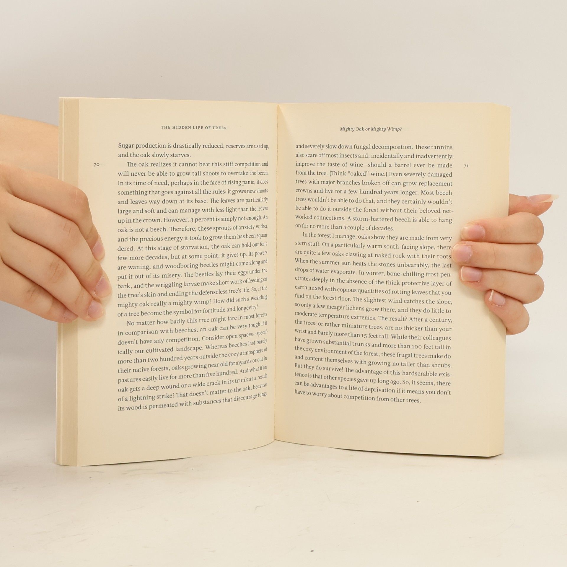Peter Wohlleben The hidden life of trees