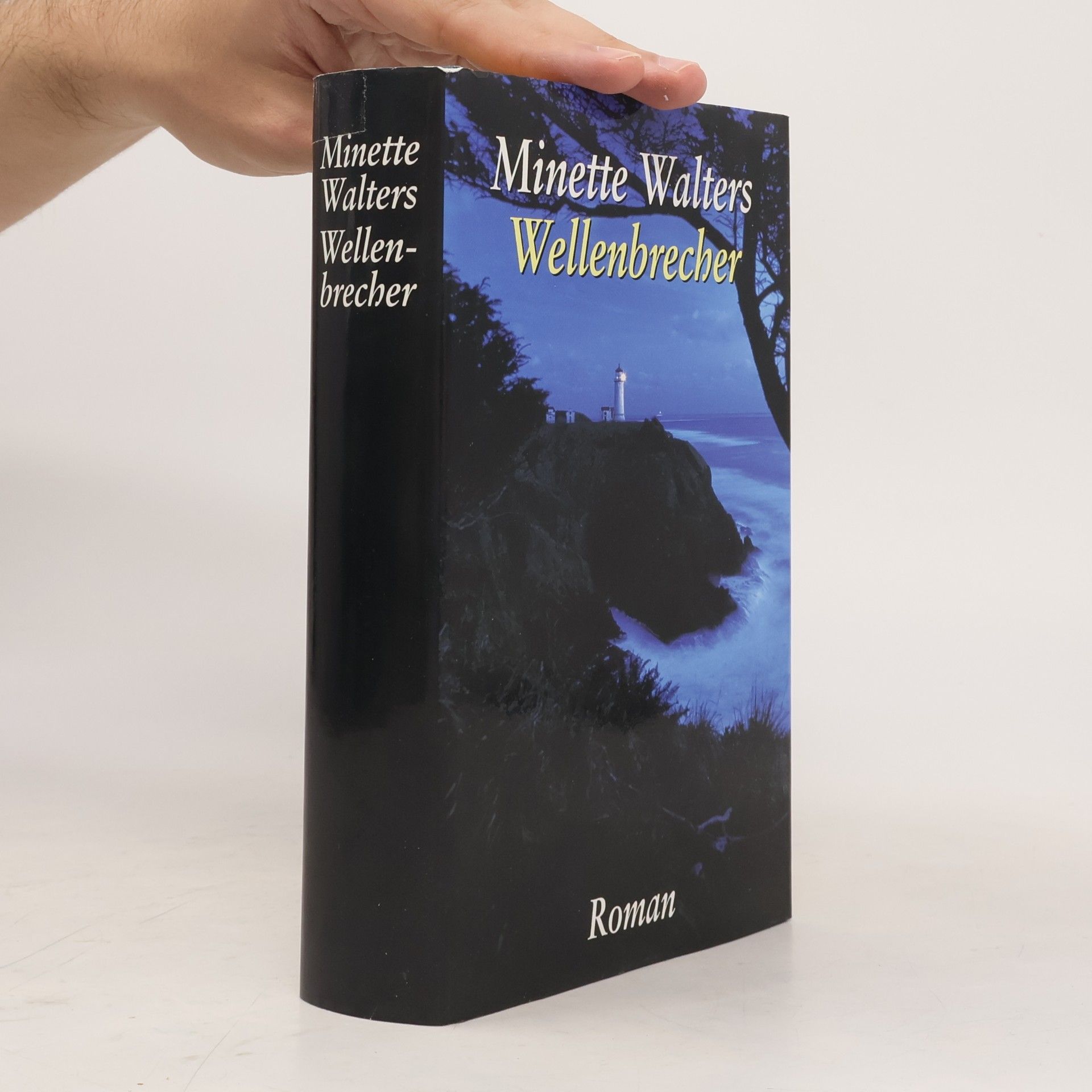 Minette Walters Wellenbrecher