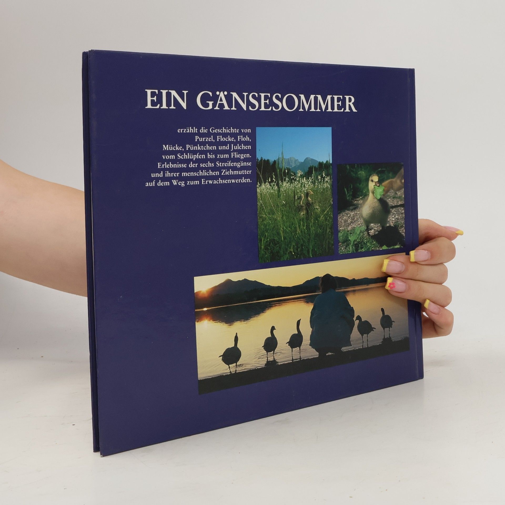 Angelika Höfer Ein Gänsesommer